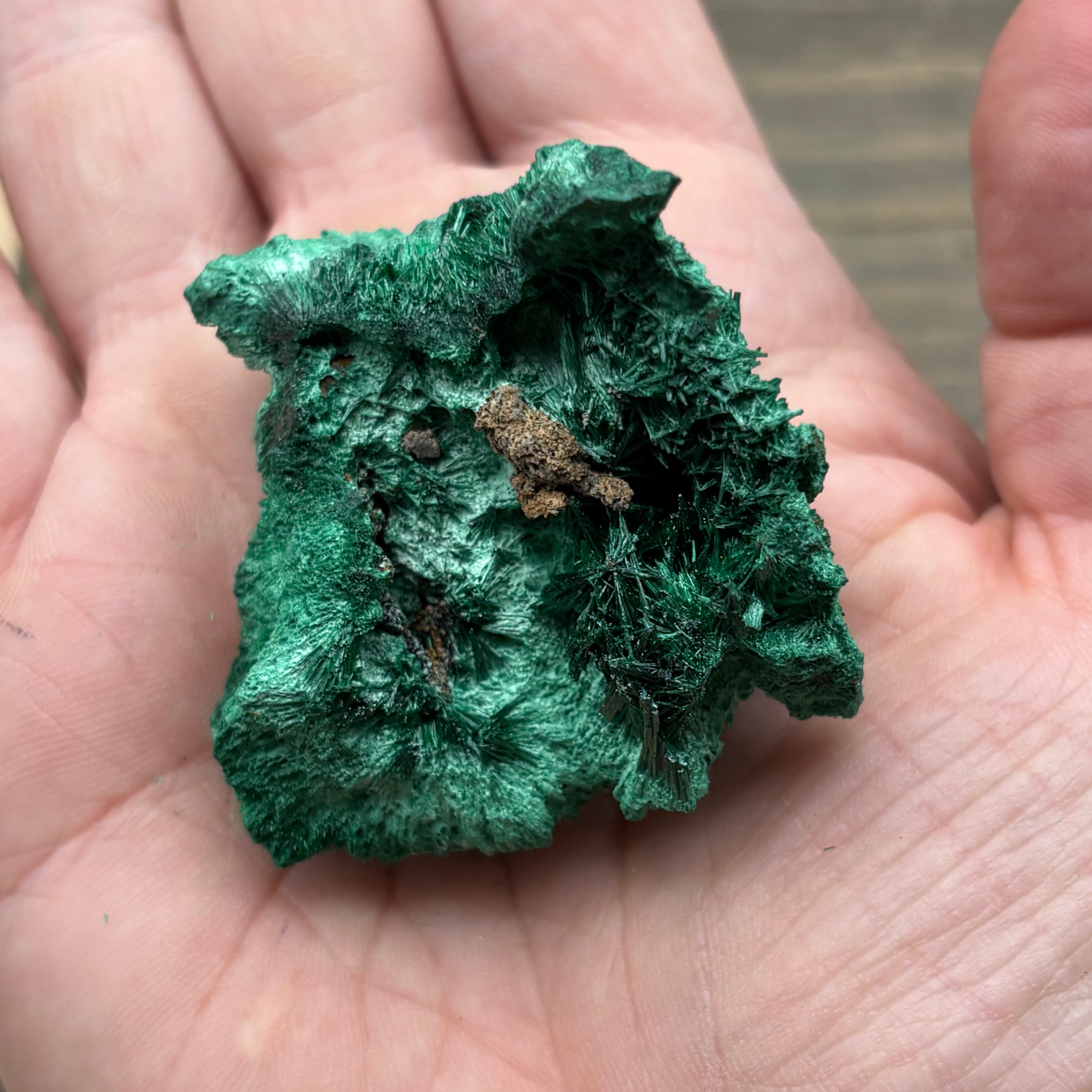 Emperor Malachite - 144