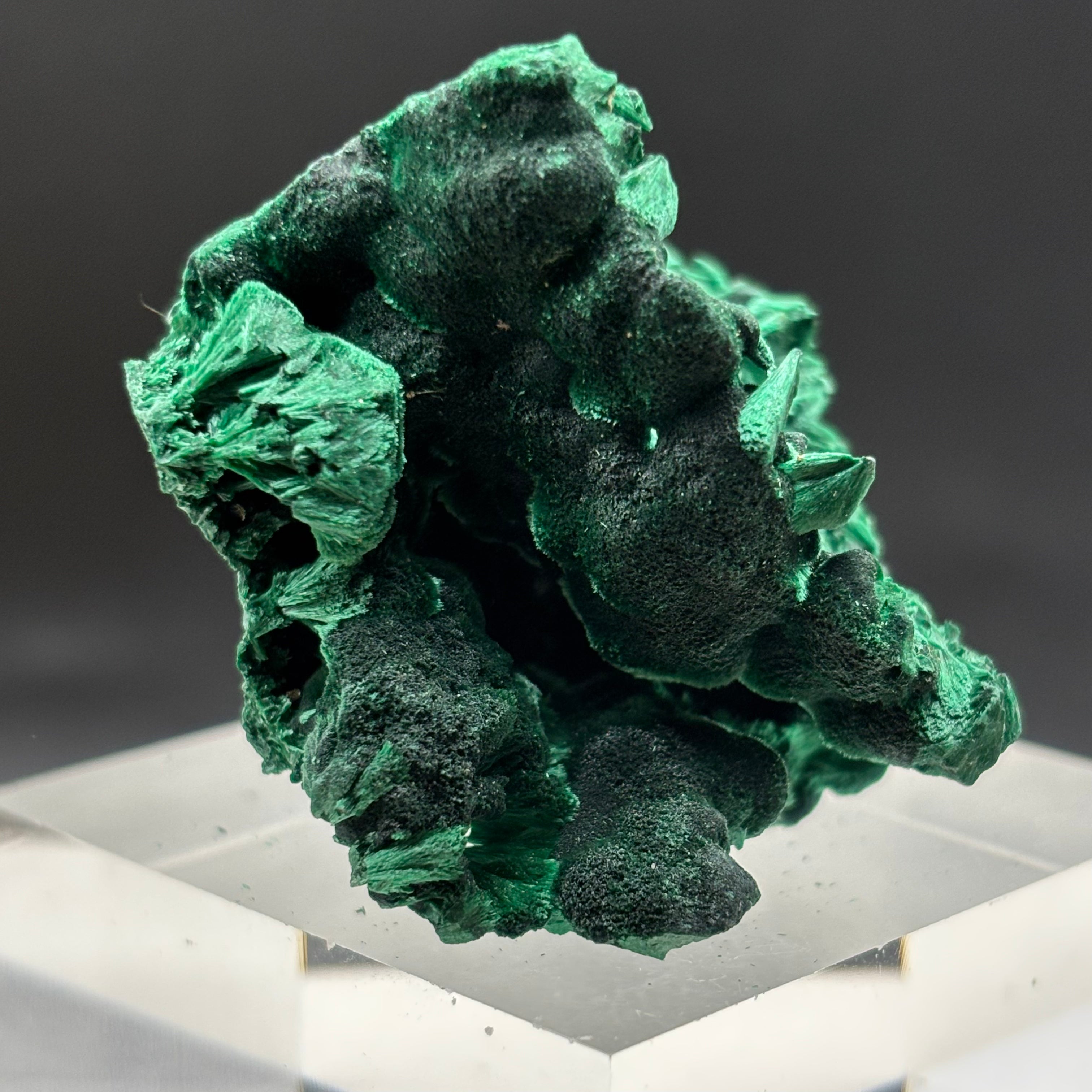 Emperor Malachite - 145