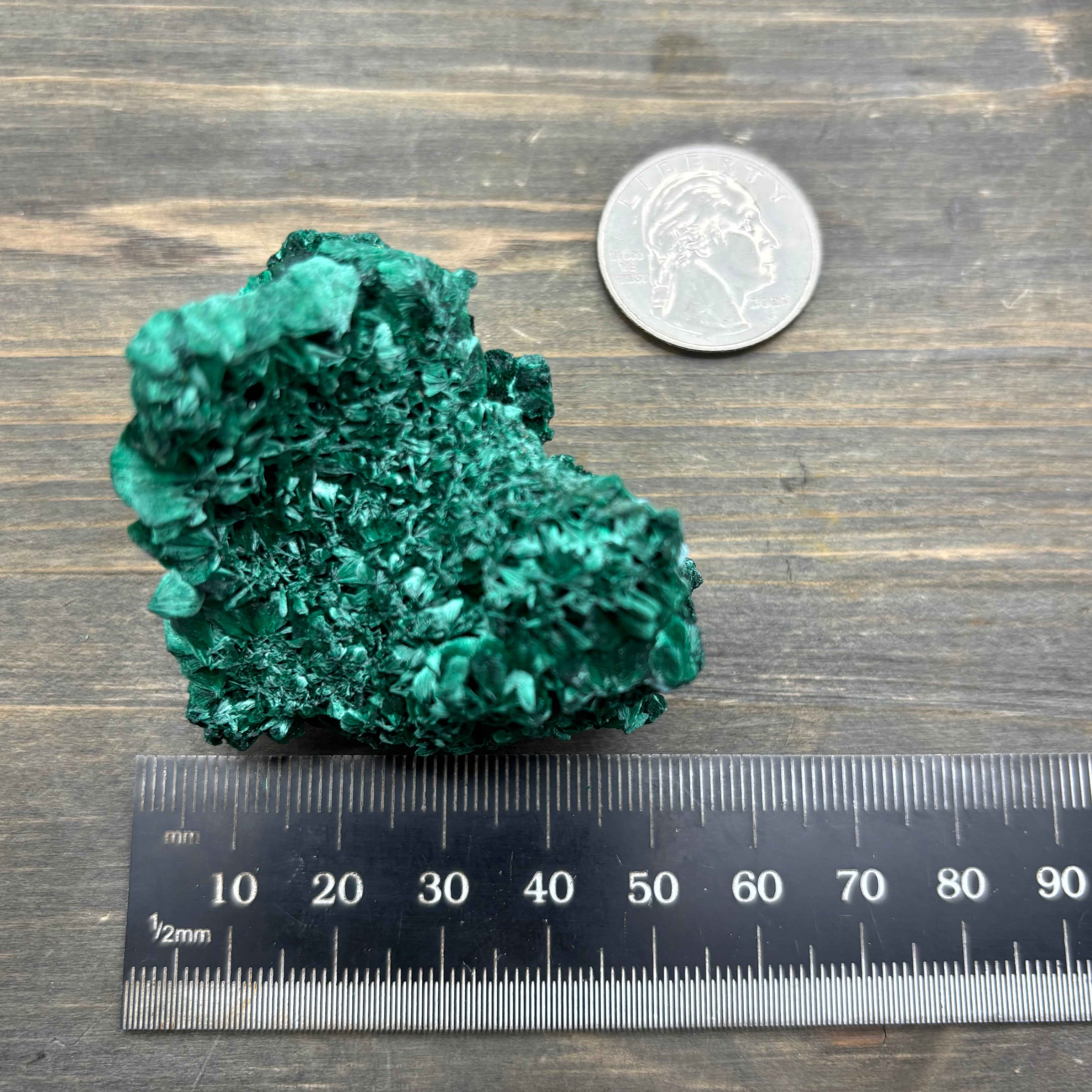 Emperor Malachite - 145