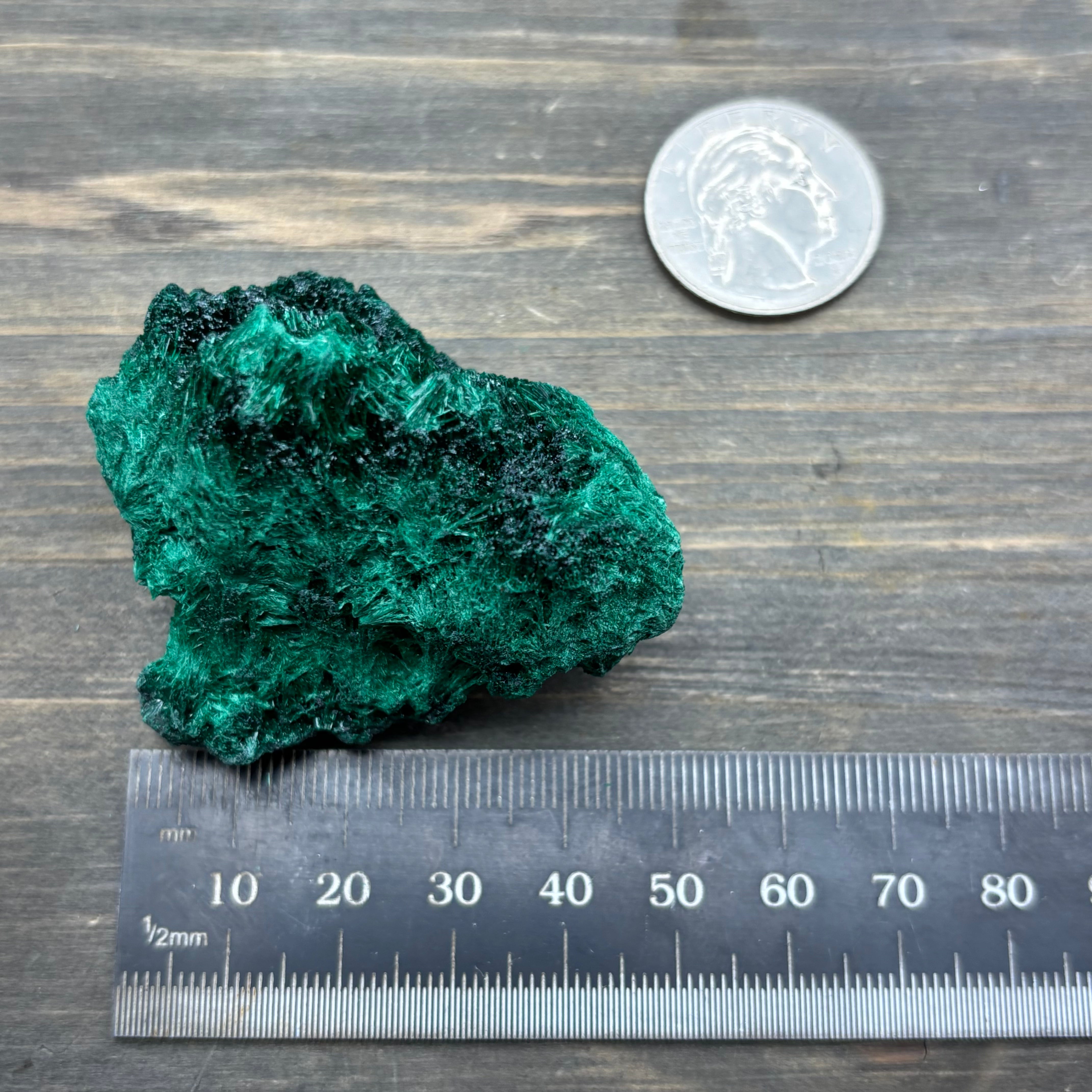 Emperor Malachite - 146