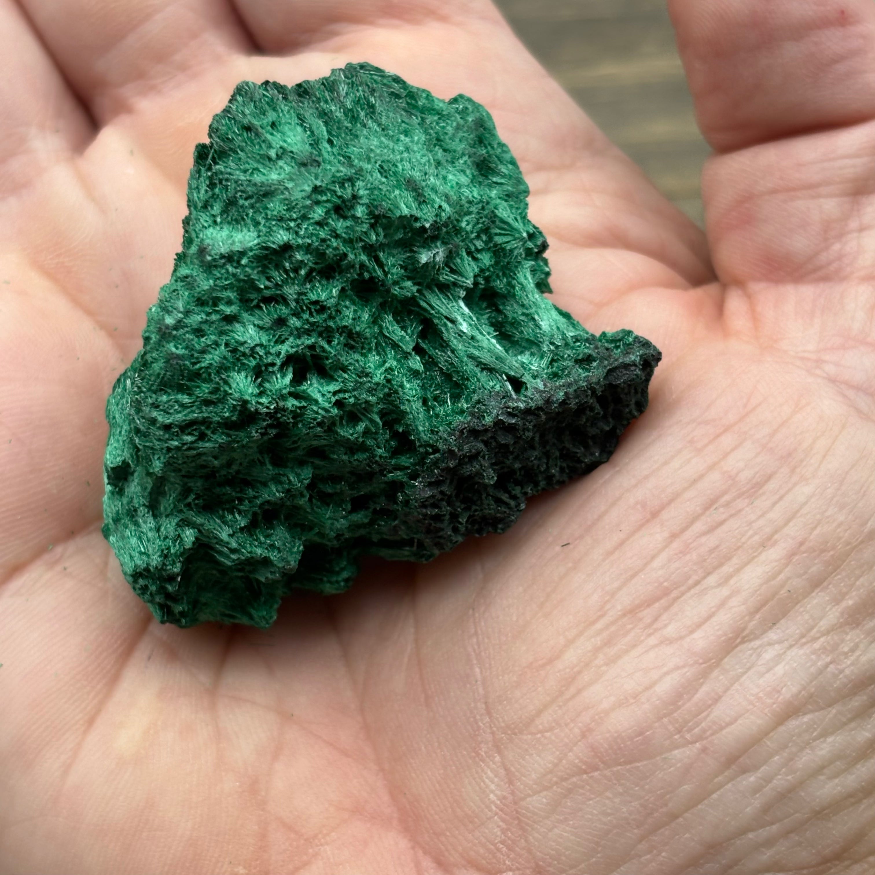 Emperor Malachite - 146