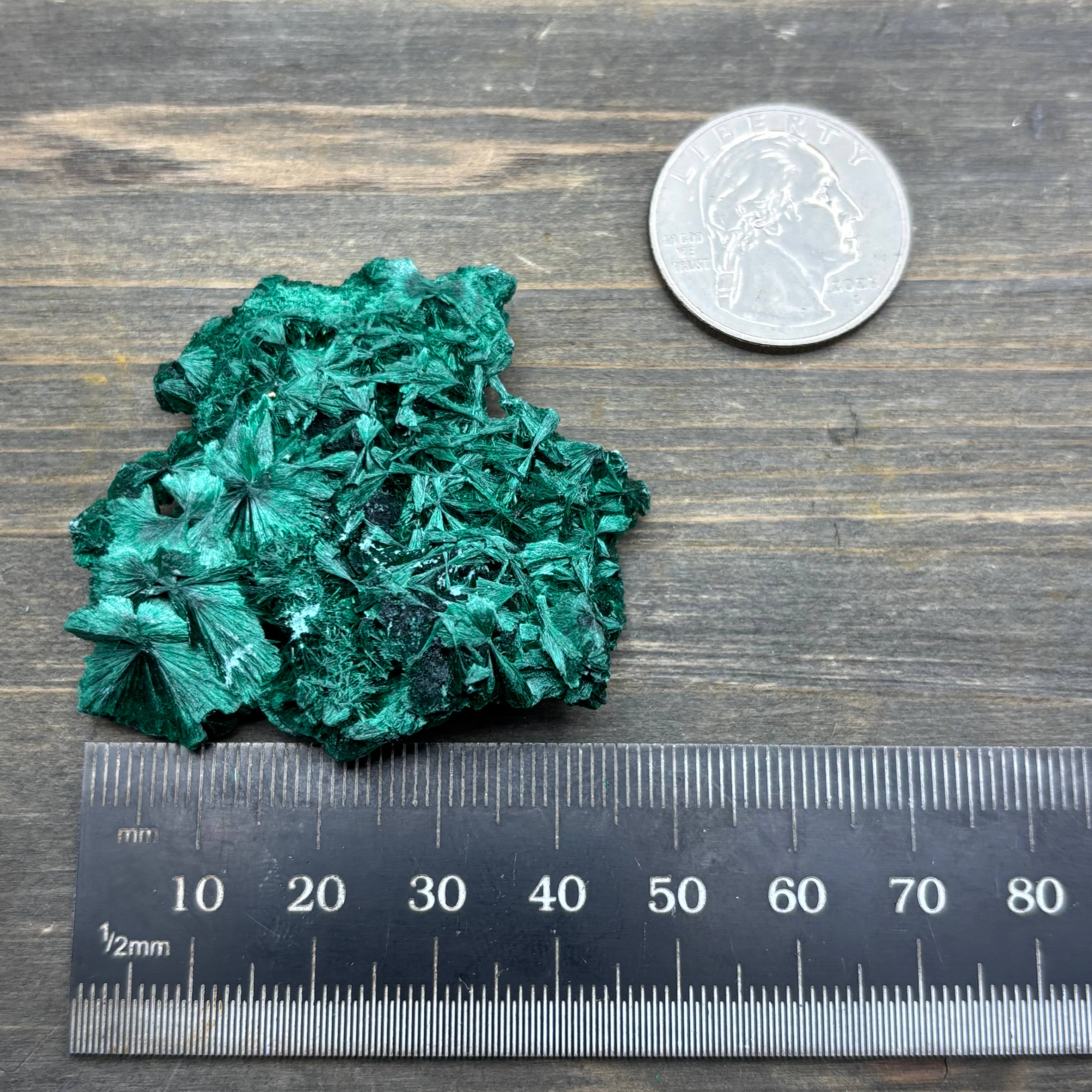 Emperor Malachite - 147