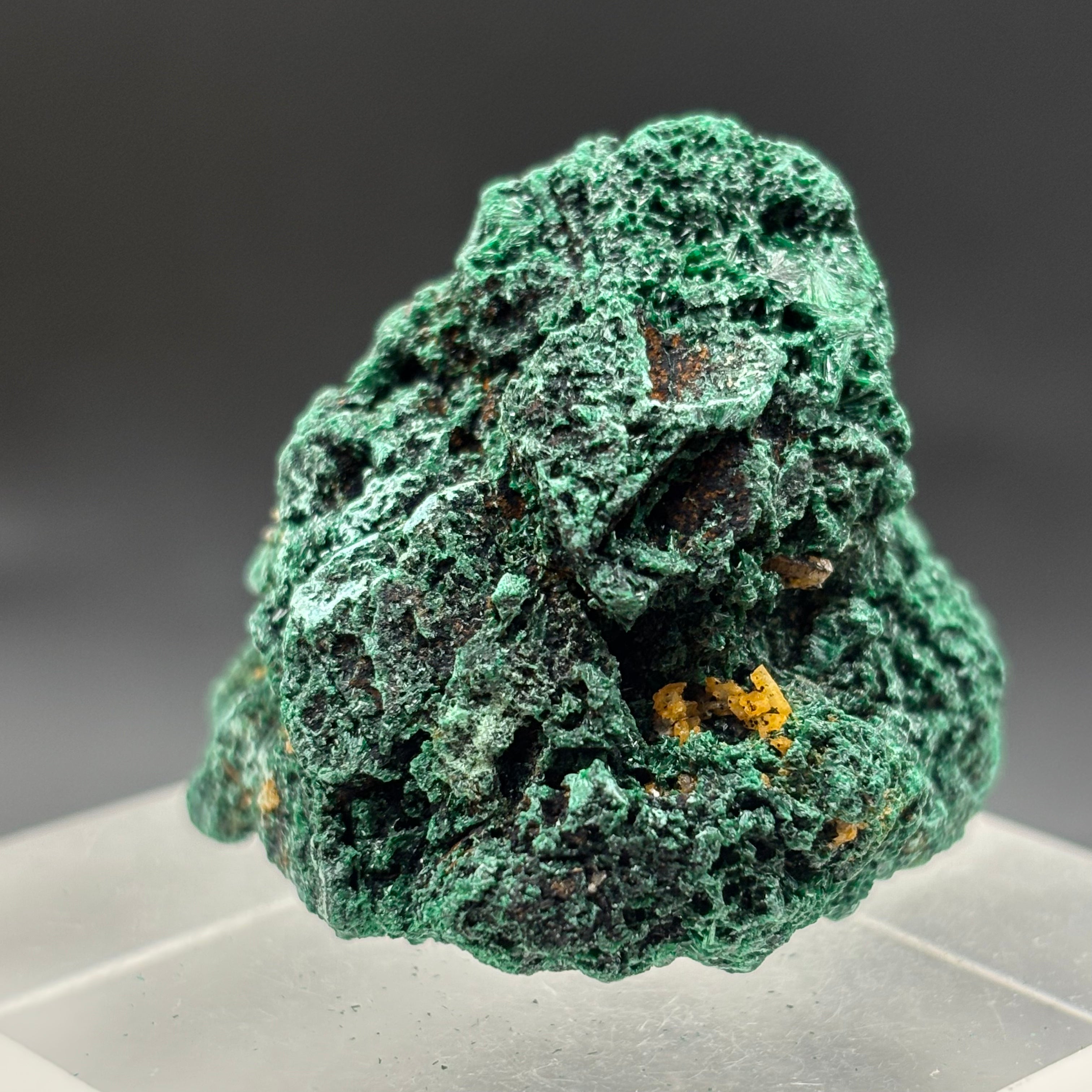 Emperor Malachite - 148