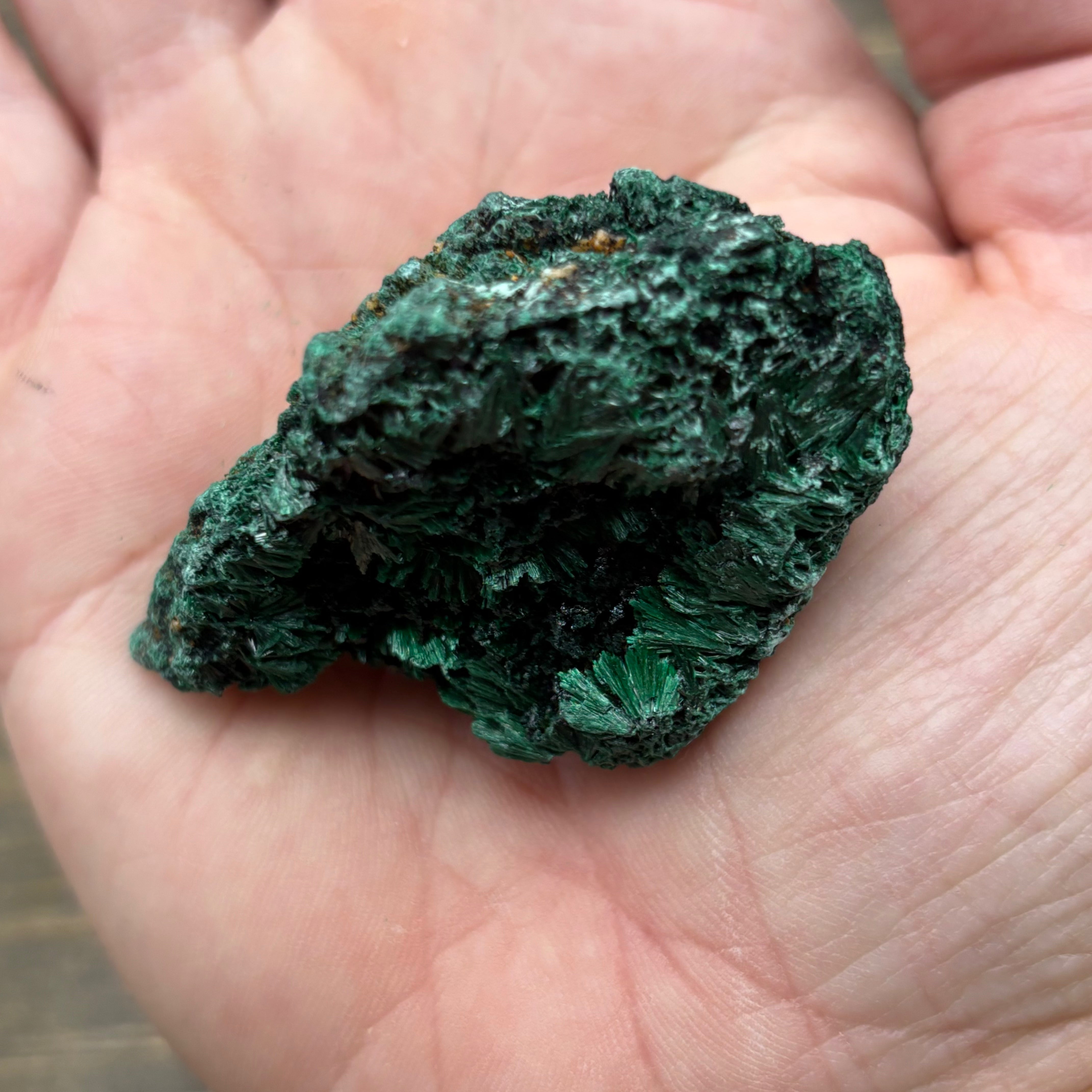 Emperor Malachite - 148