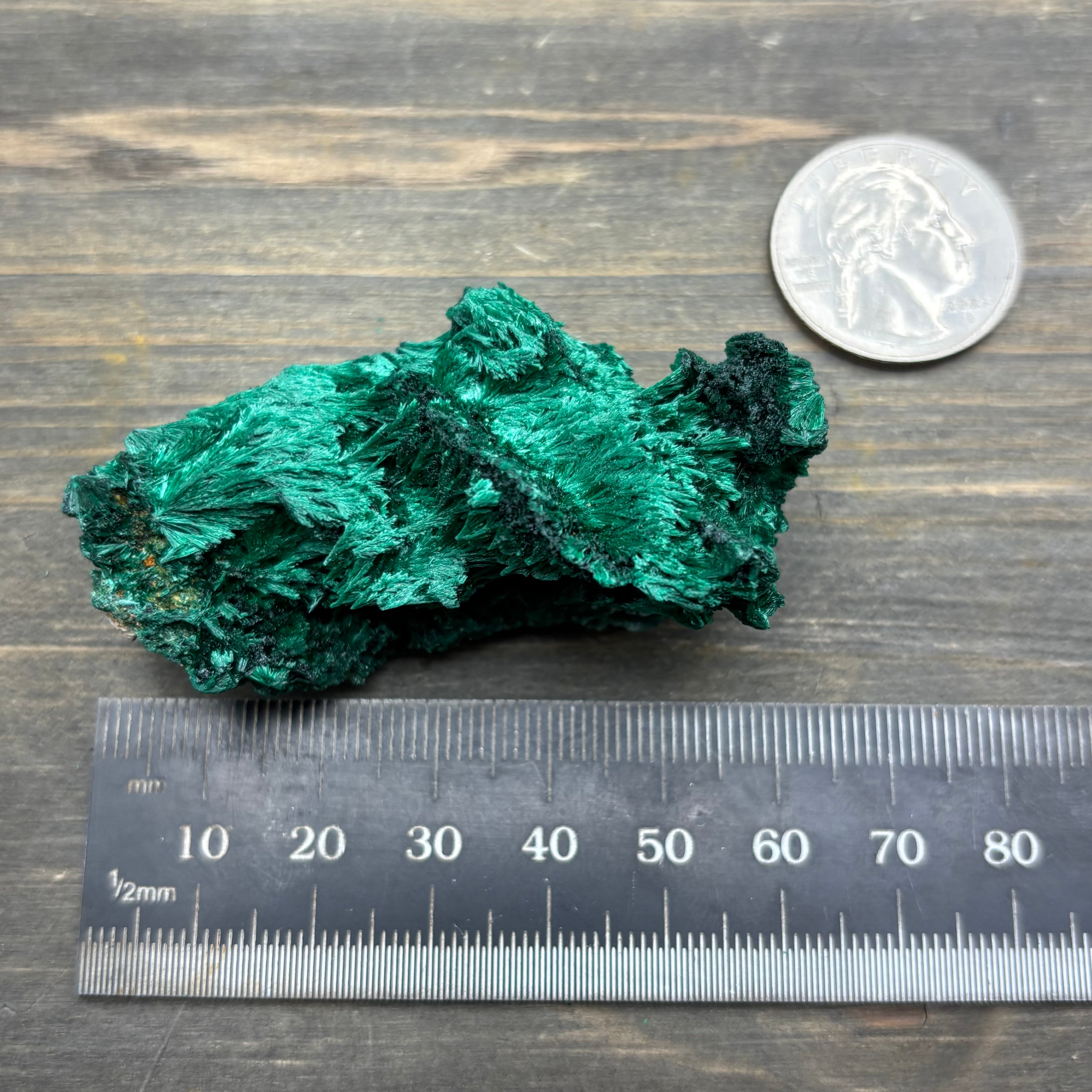 Emperor Malachite - 149