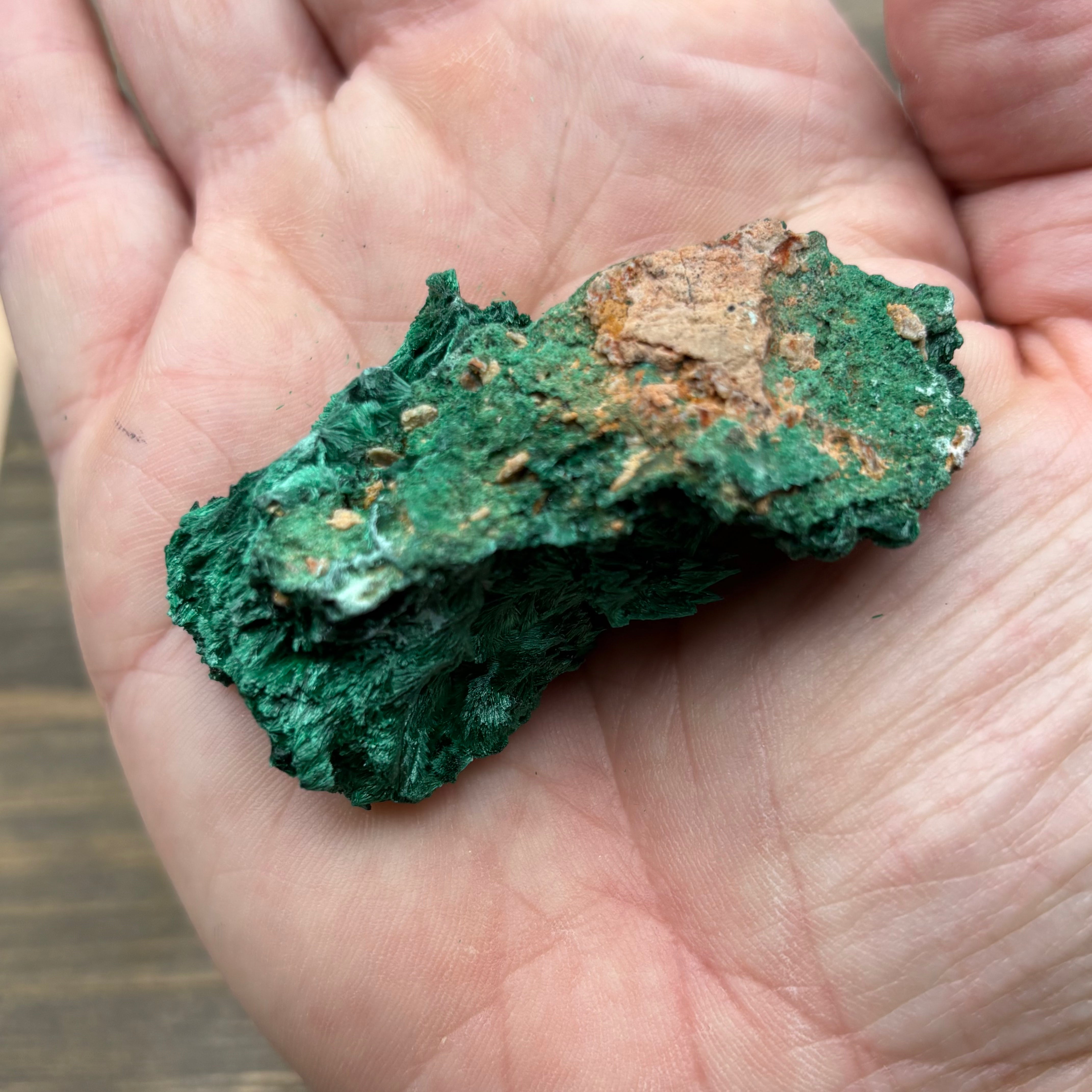 Emperor Malachite - 149