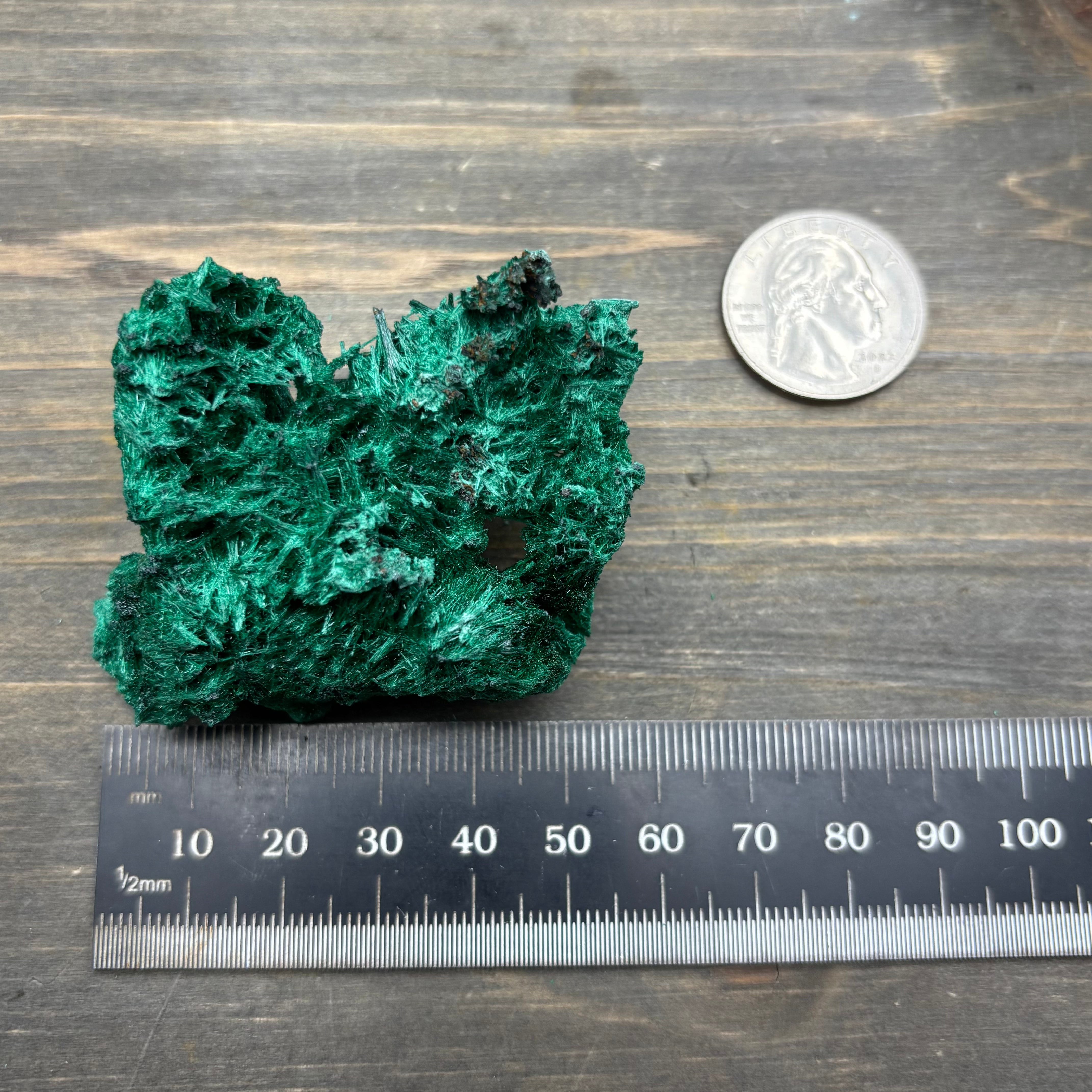 Emperor Malachite - 150