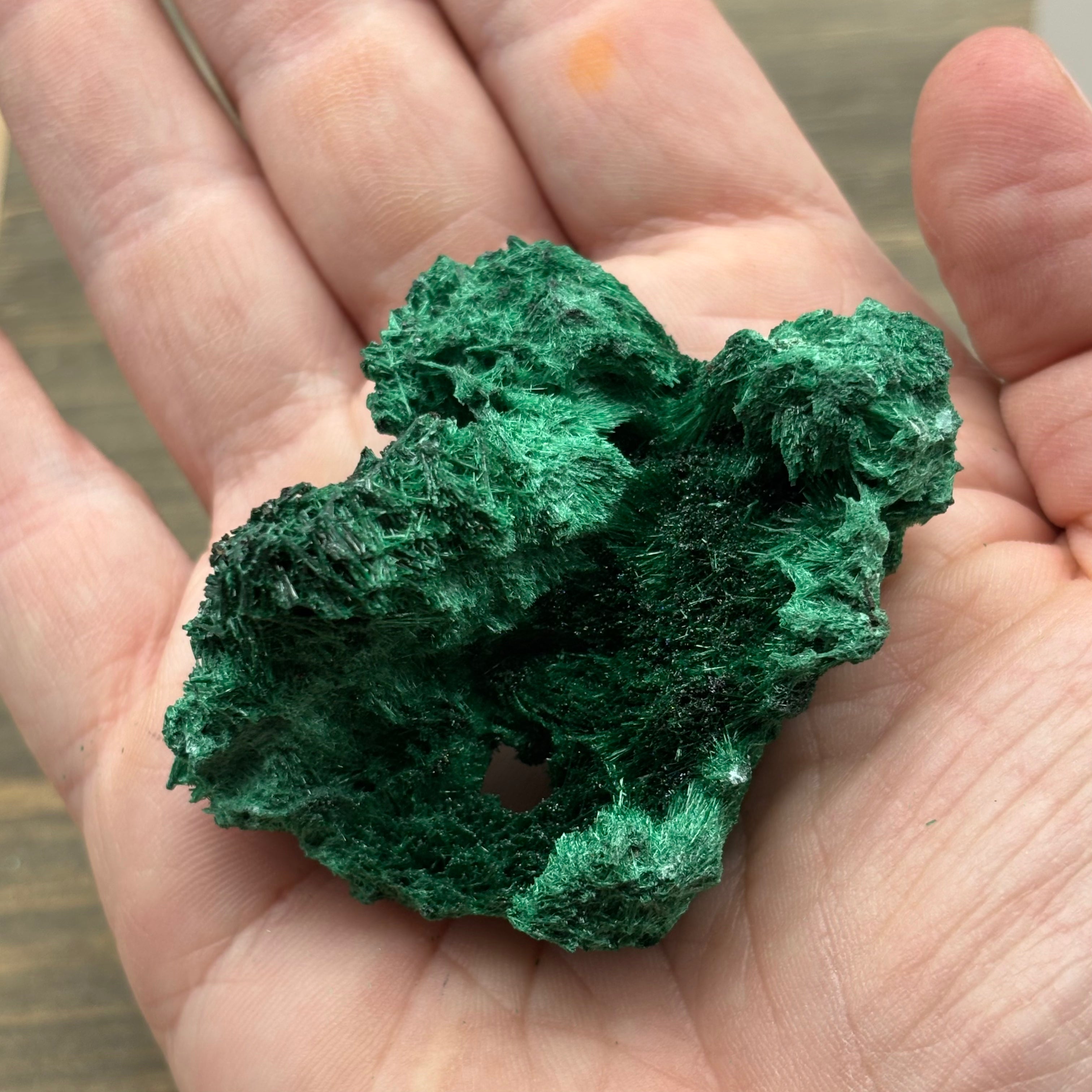 Emperor Malachite - 150