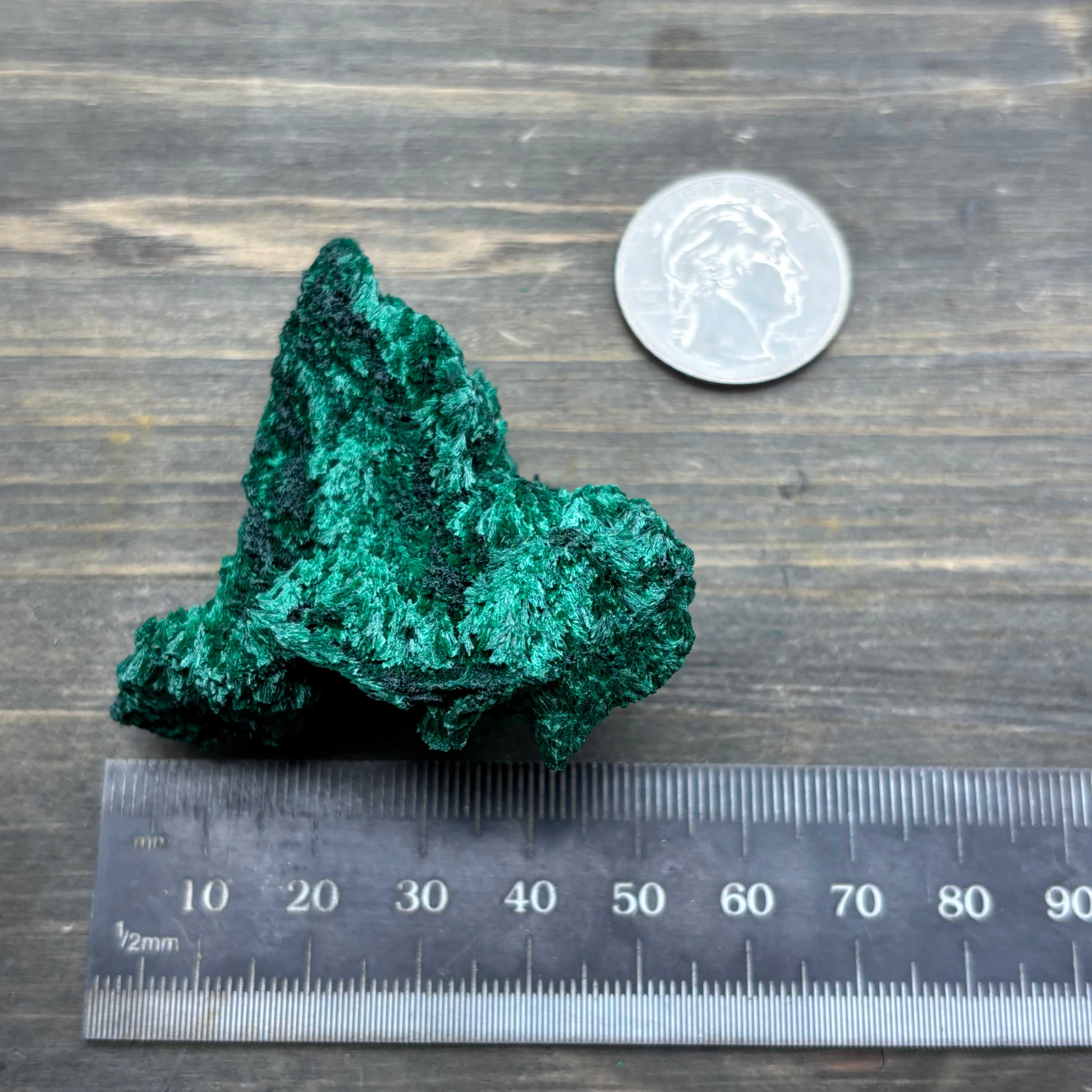 Emperor Malachite - 151