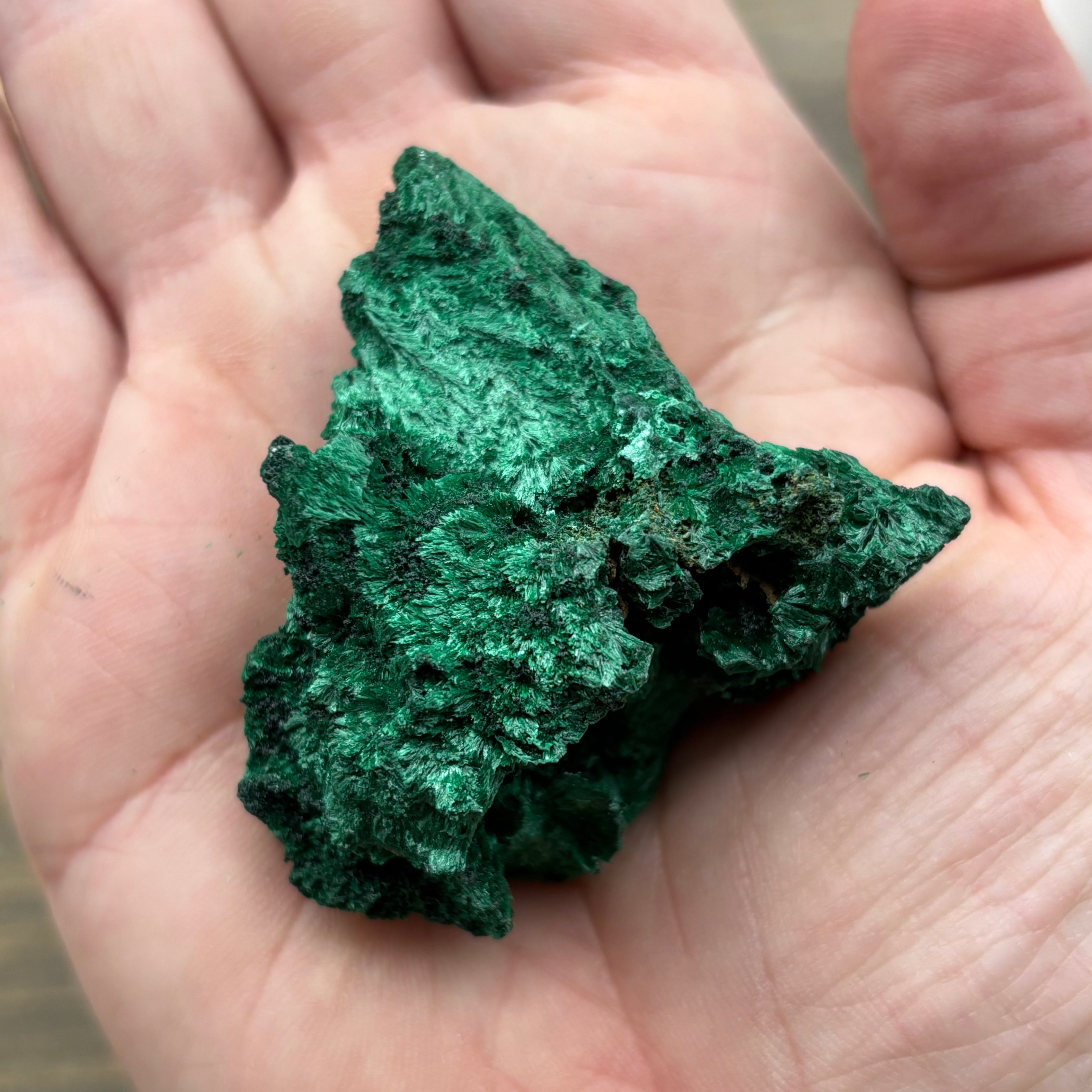 Emperor Malachite - 151