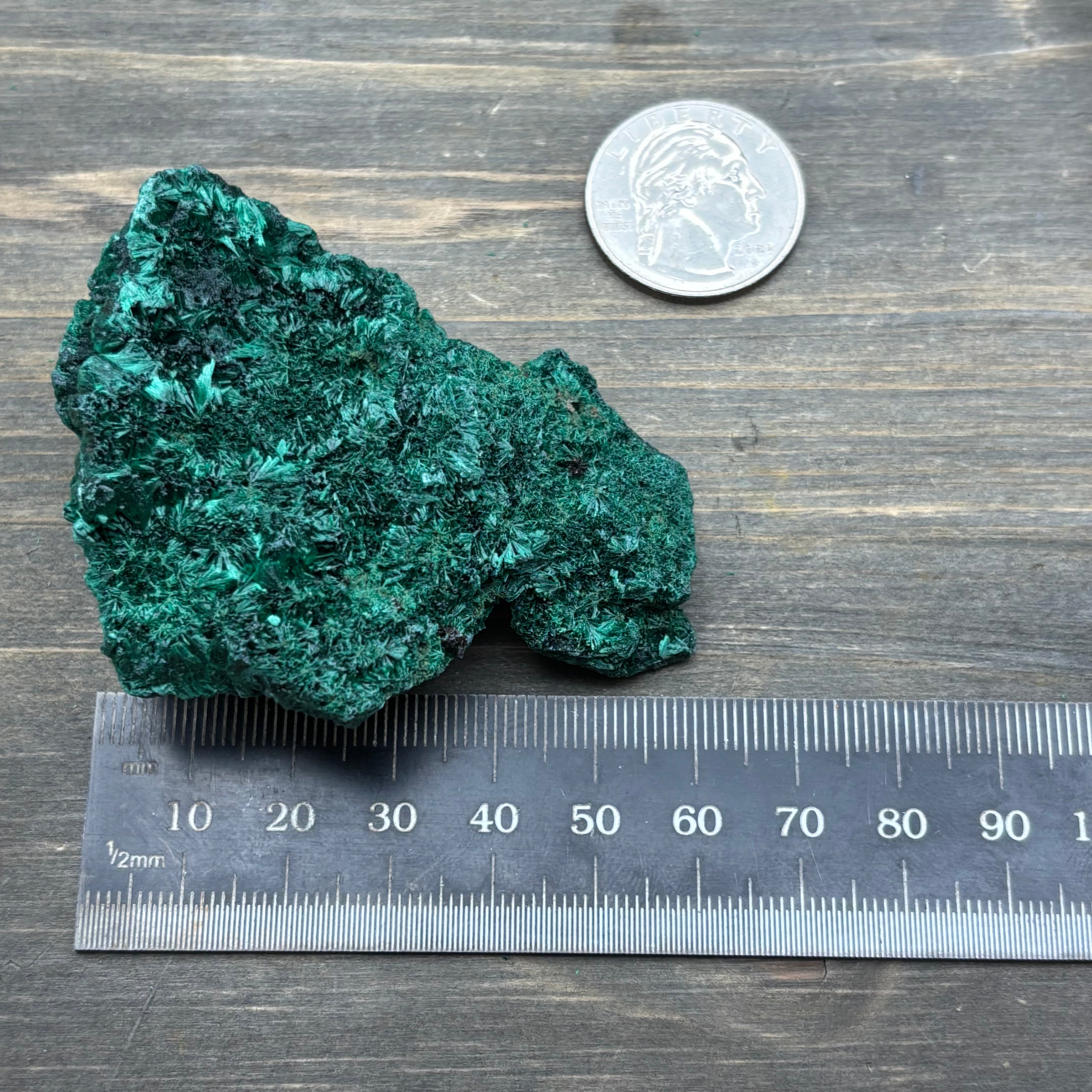 Emperor Malachite - 152