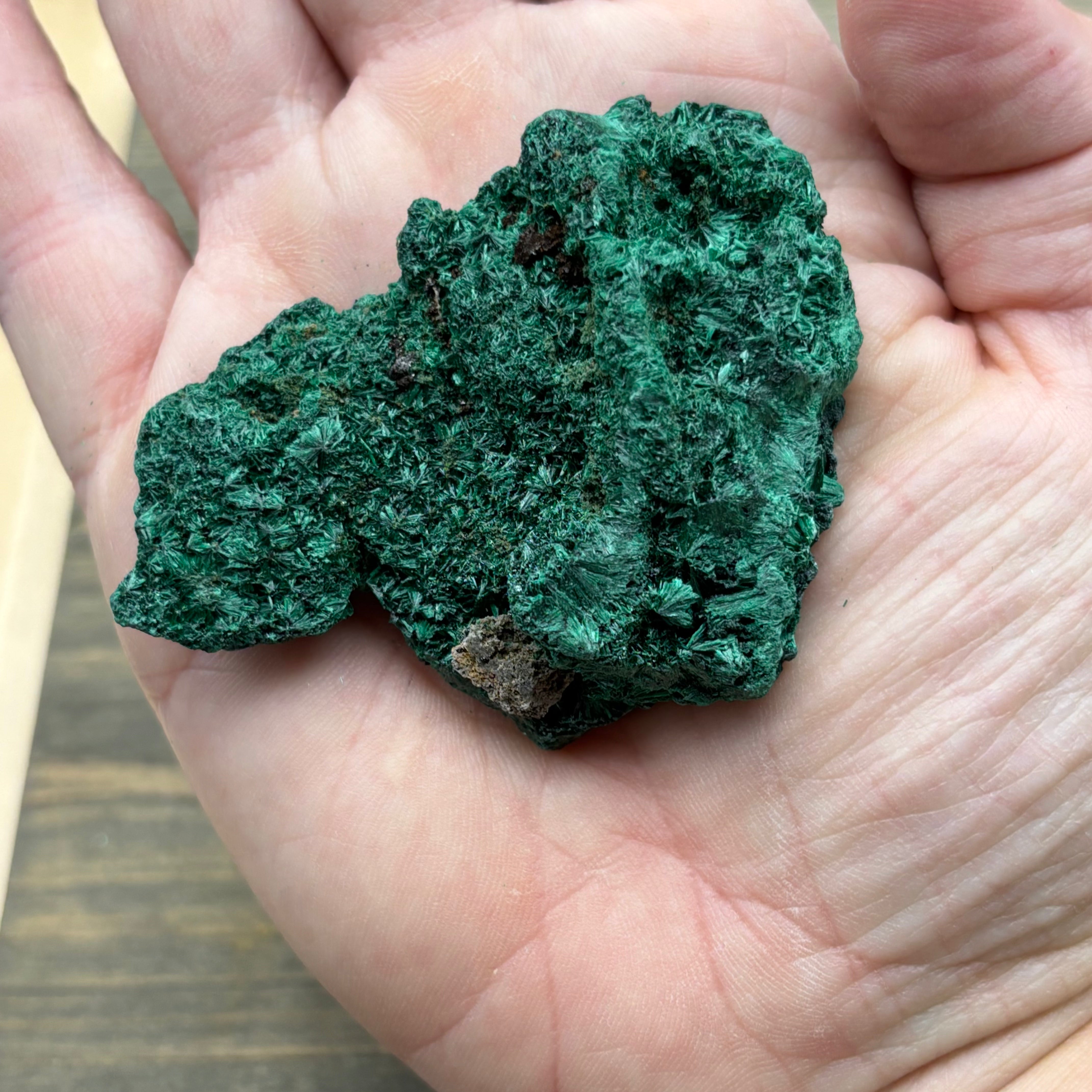 Emperor Malachite - 152