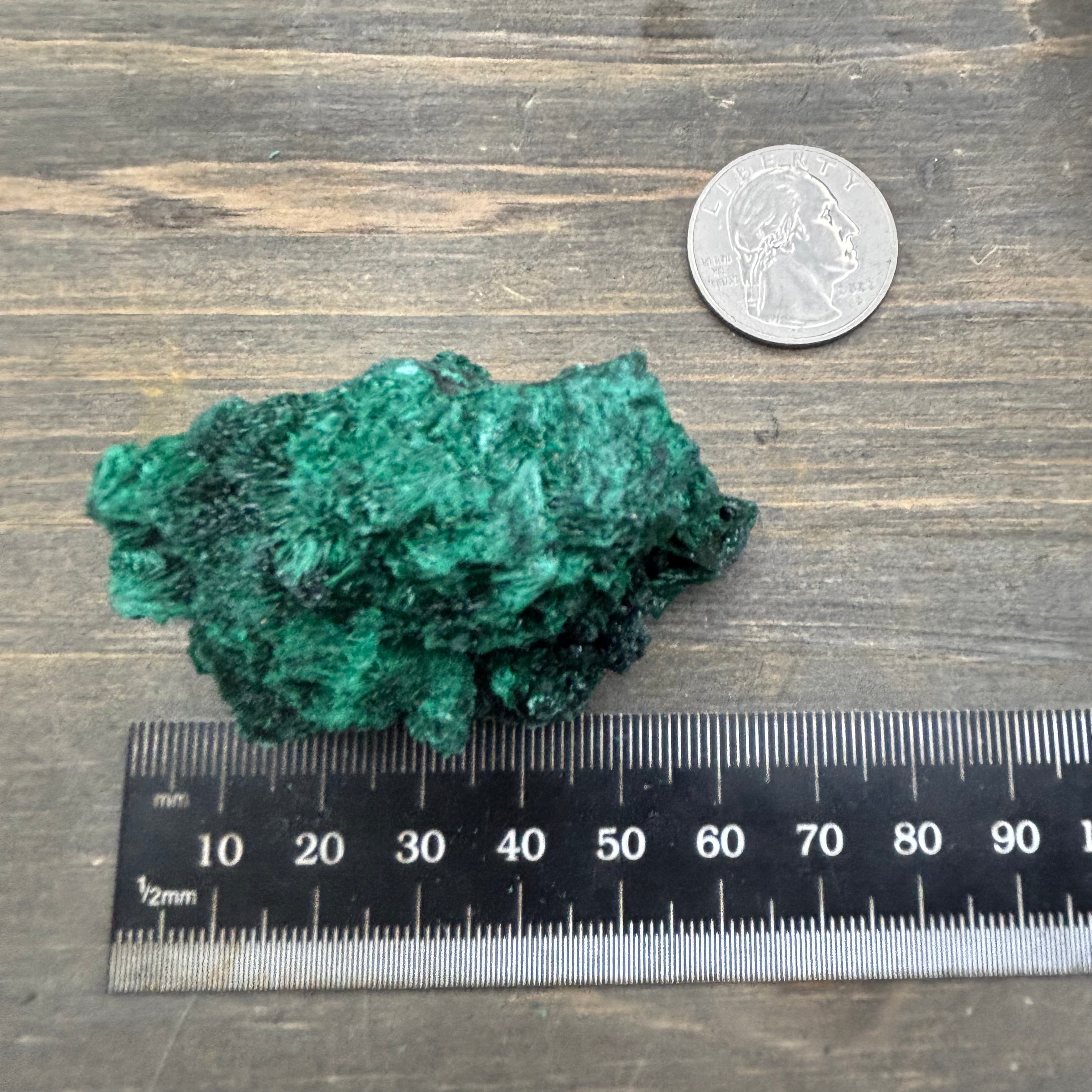 Emperor Malachite - 156