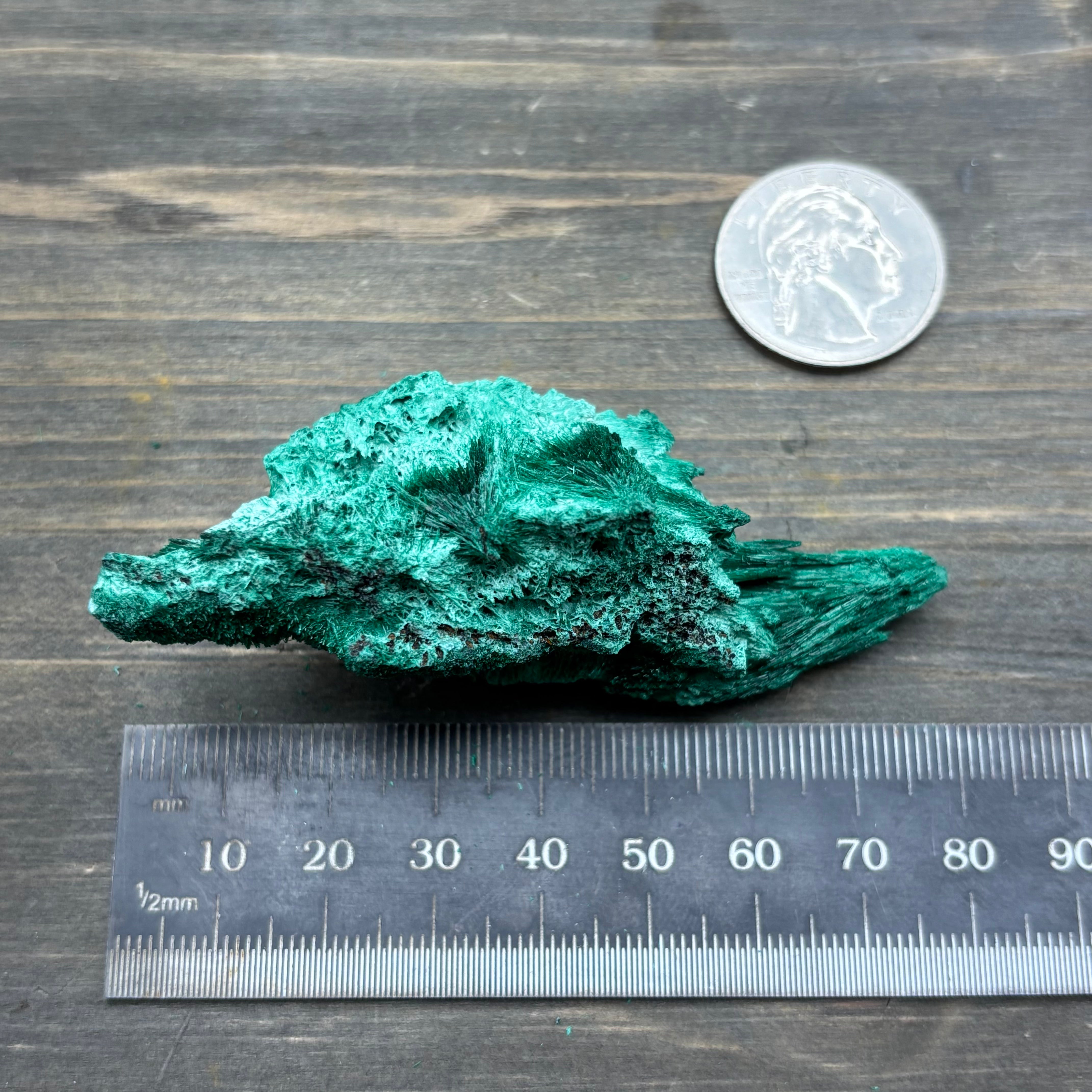Emperor Malachite - 157