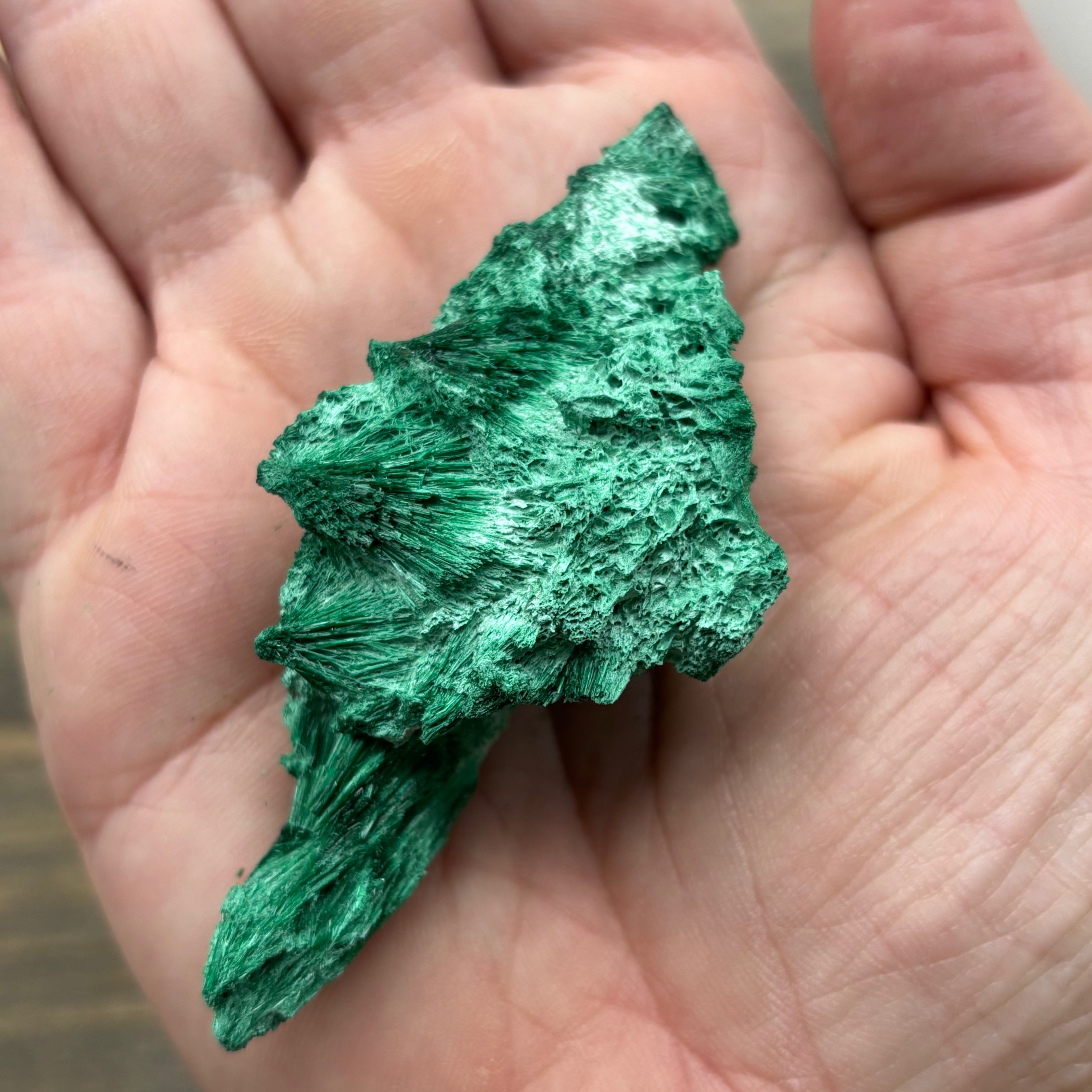 Emperor Malachite - 157