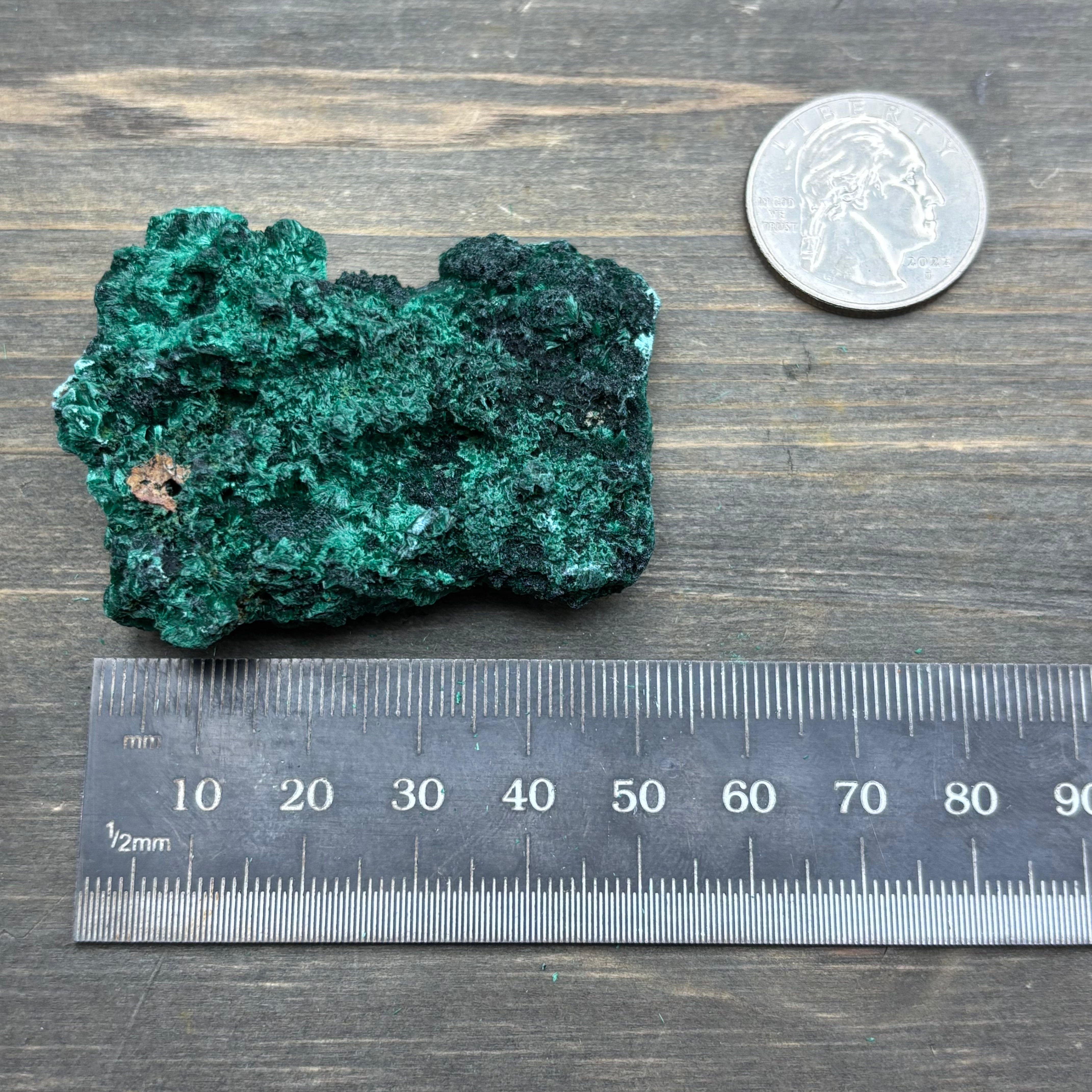 Emperor Malachite - 158