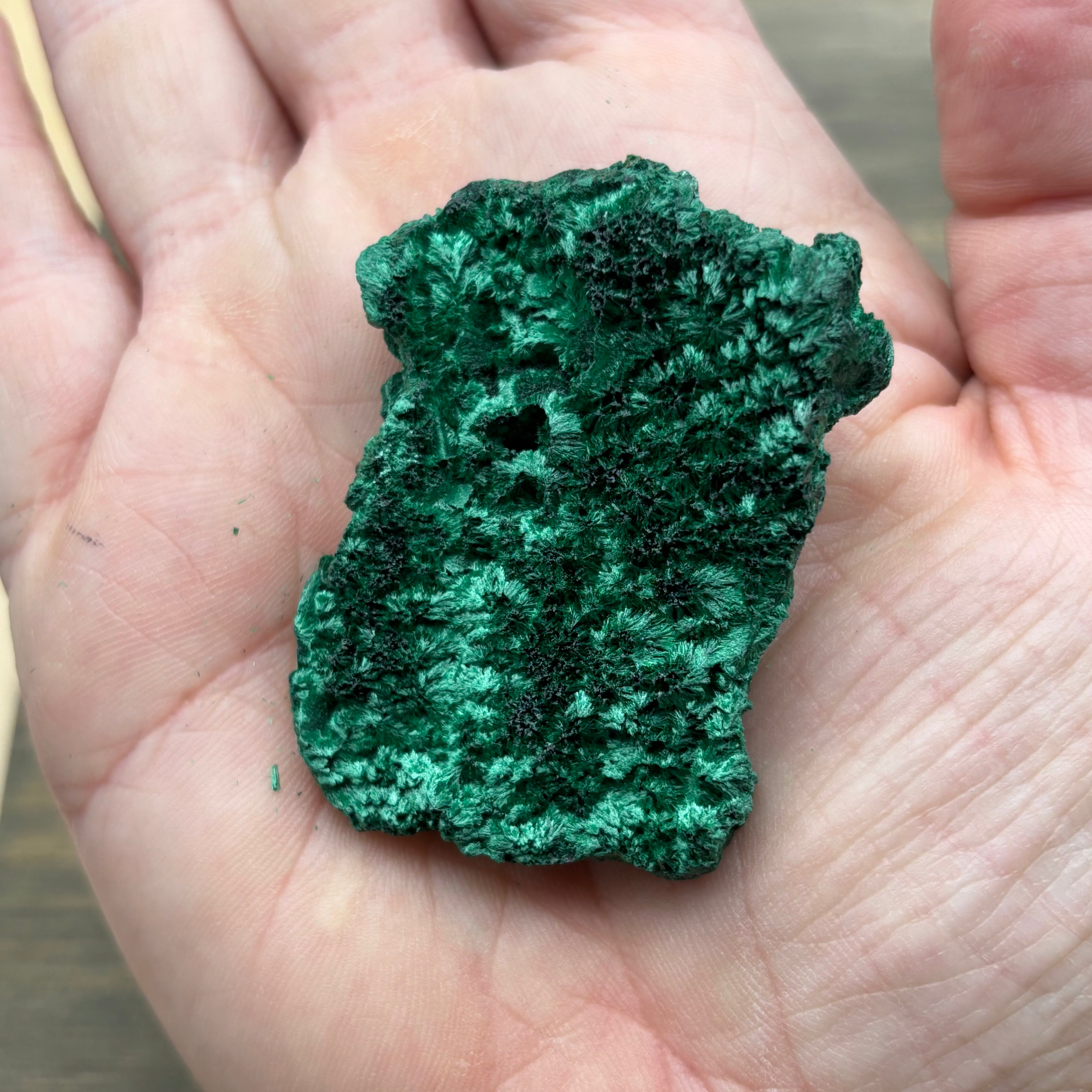Emperor Malachite - 158