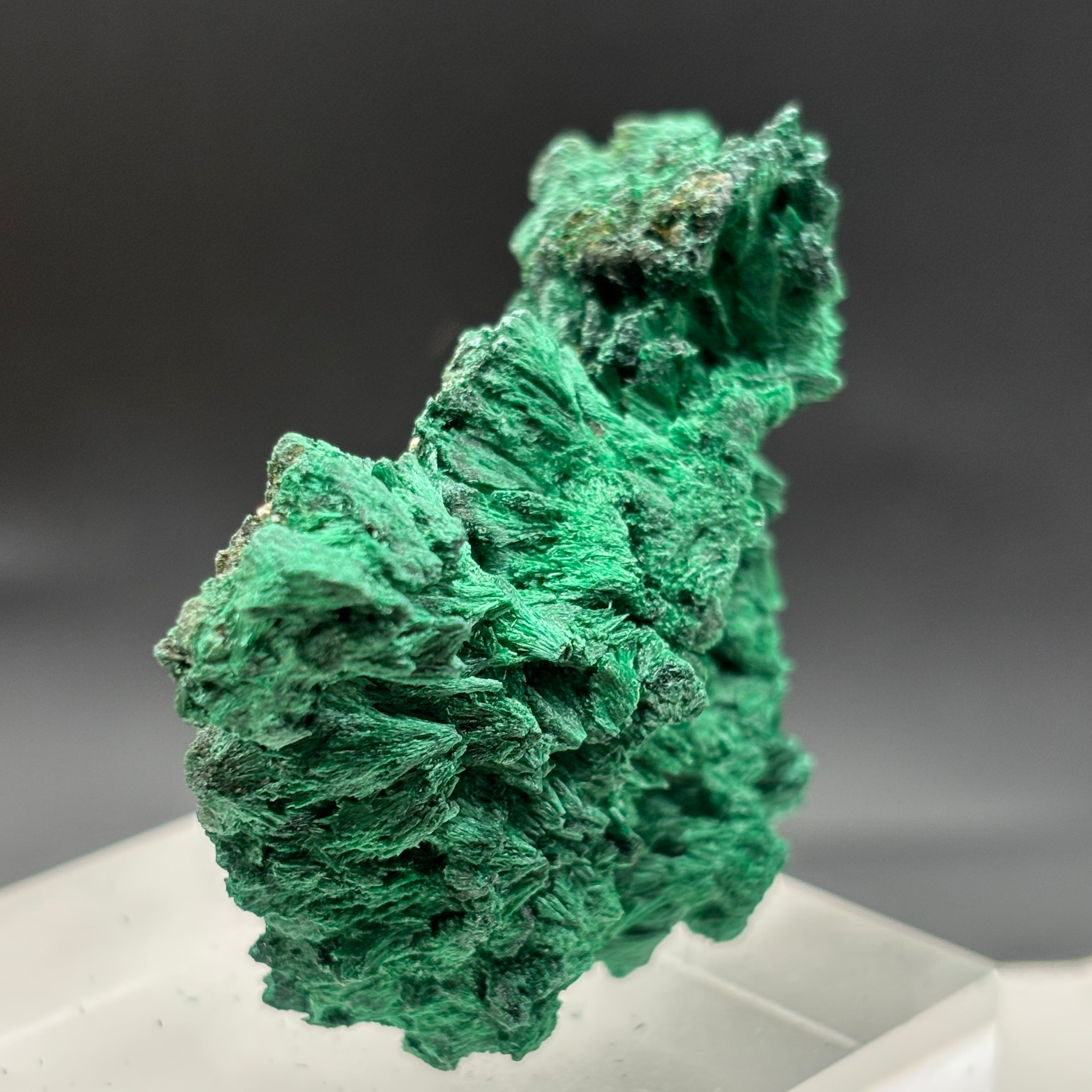 Emperor Malachite - 160