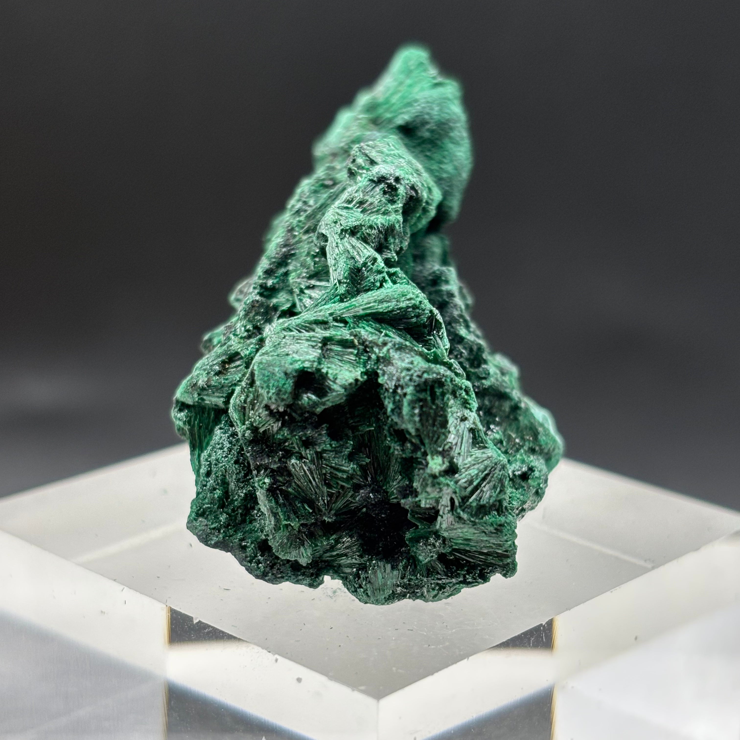 Emperor Malachite - 161