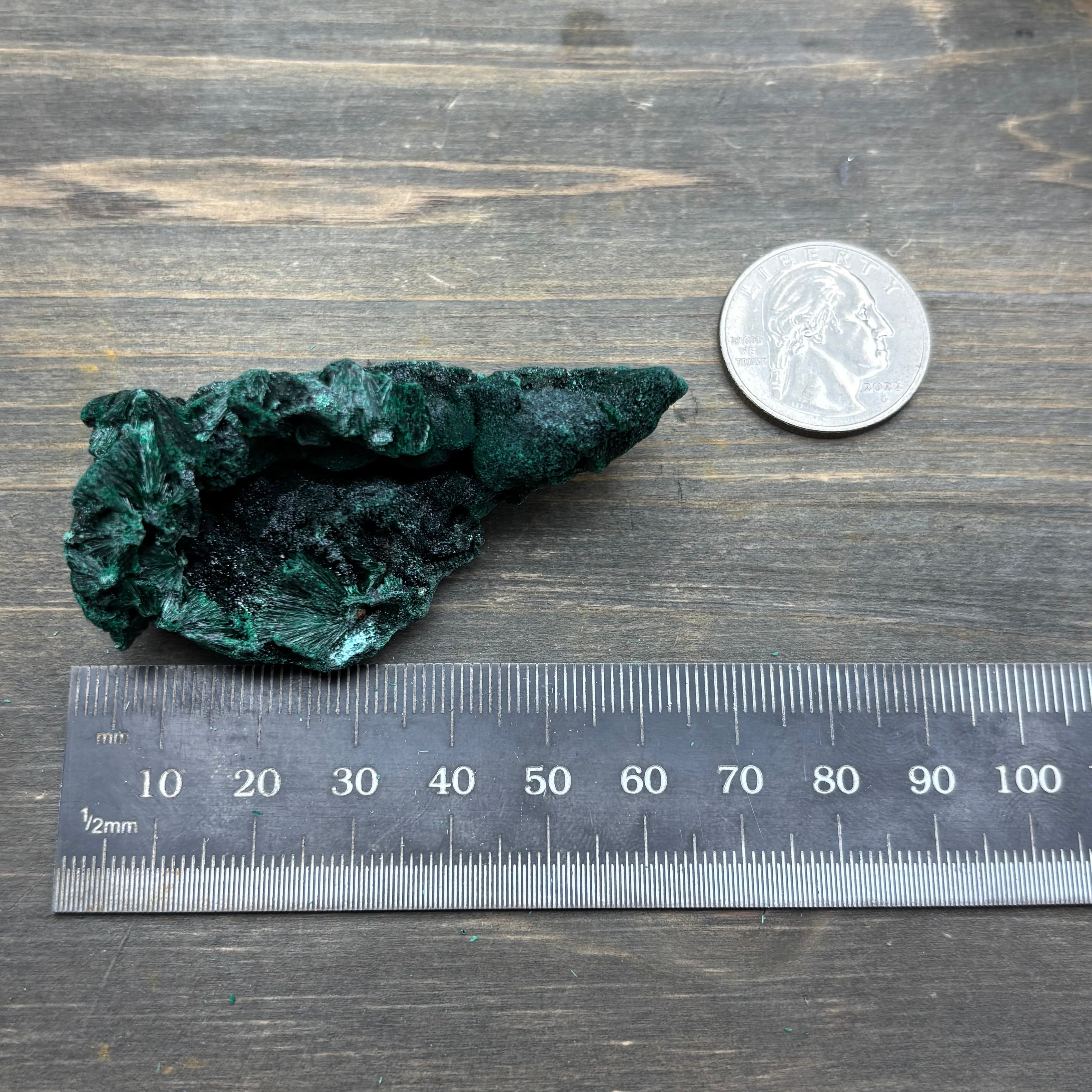 Emperor Malachite - 161