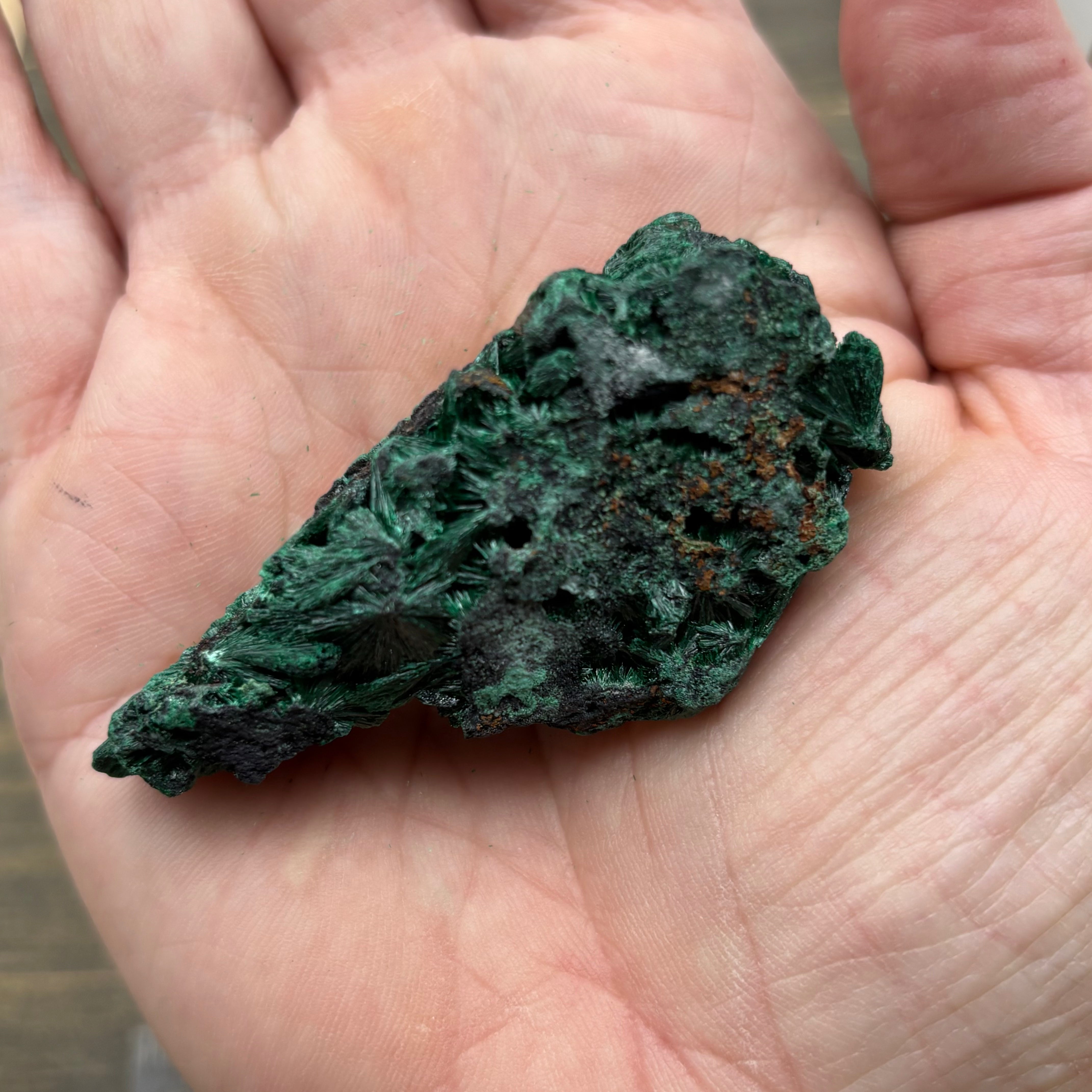 Emperor Malachite - 161