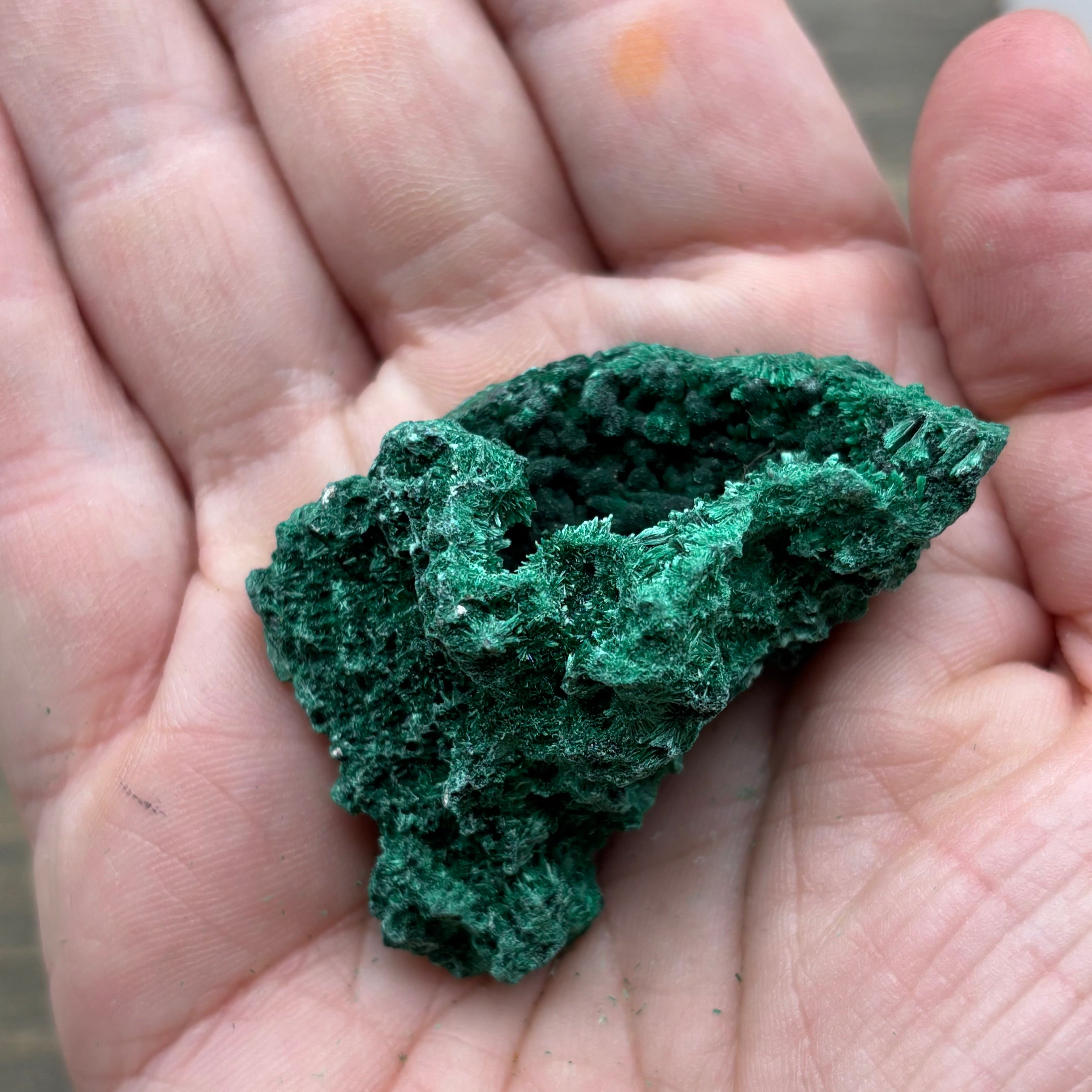 Emperor Malachite - 162