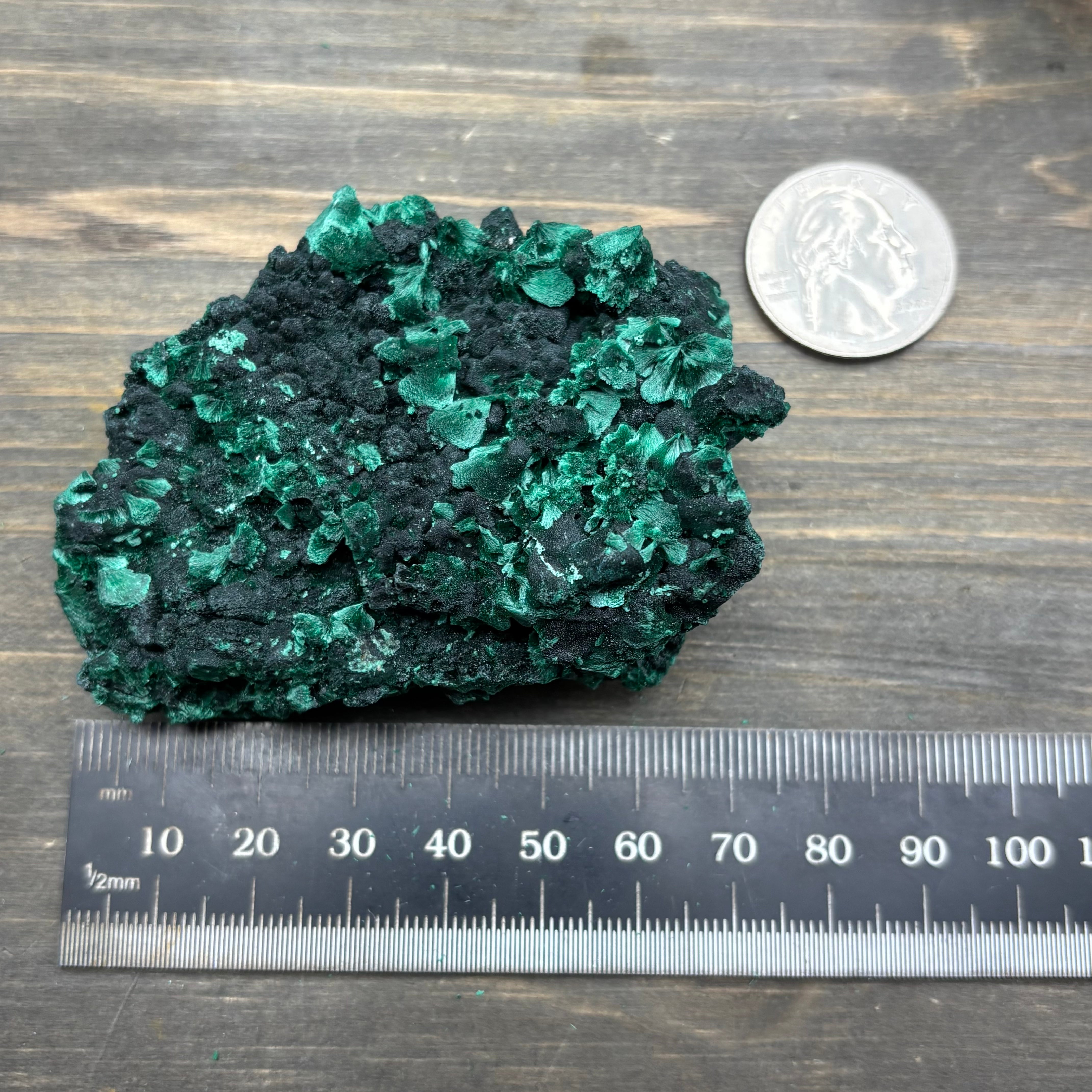 Emperor Malachite - 164