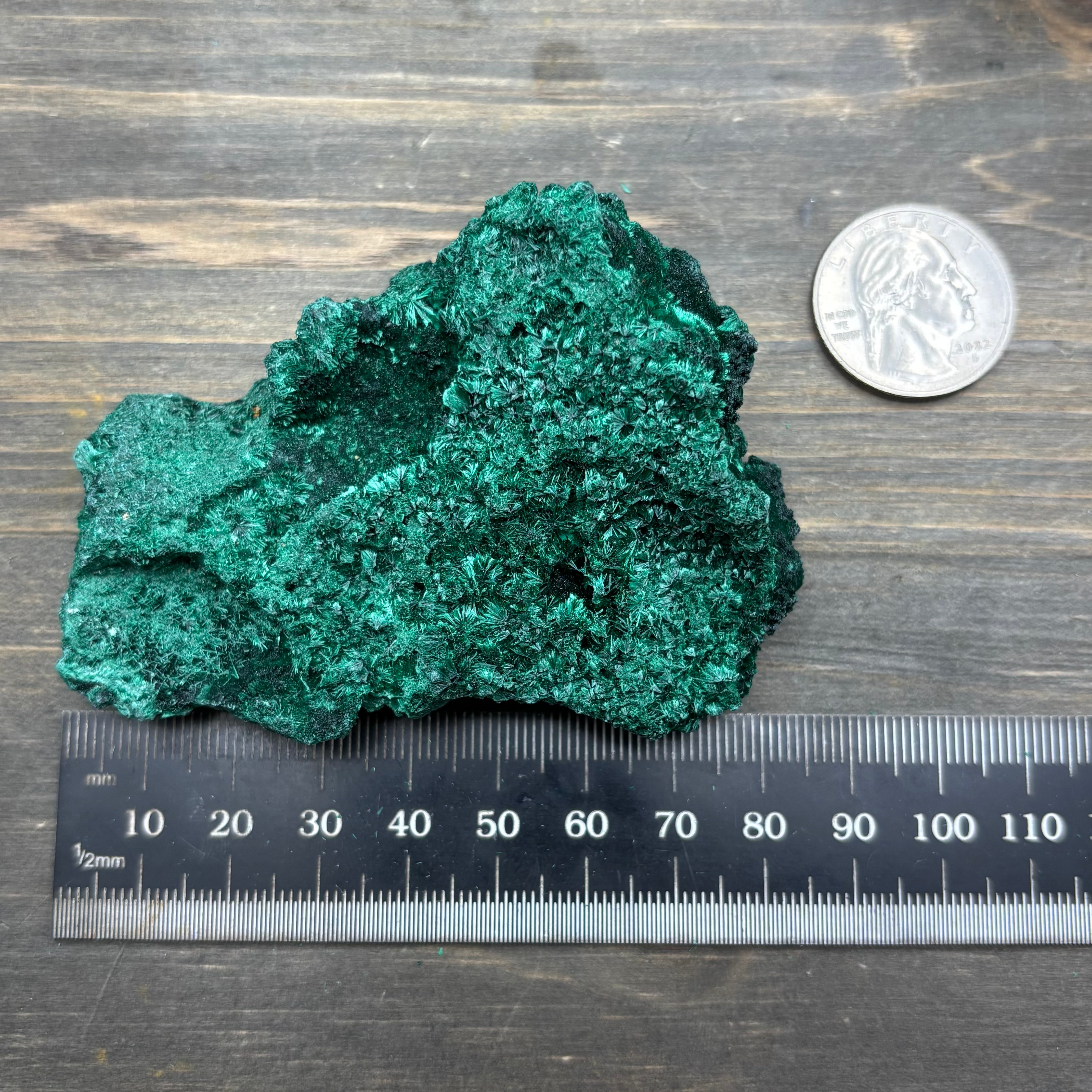 Emperor Malachite - 165