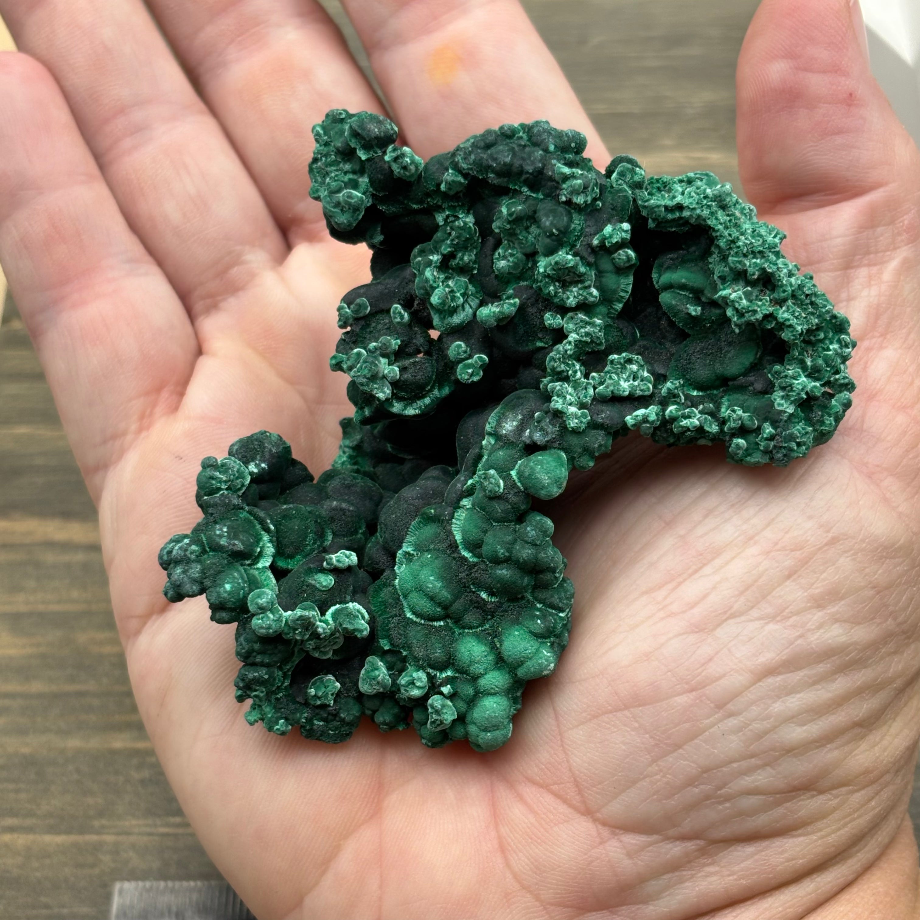 Emperor Malachite - 166