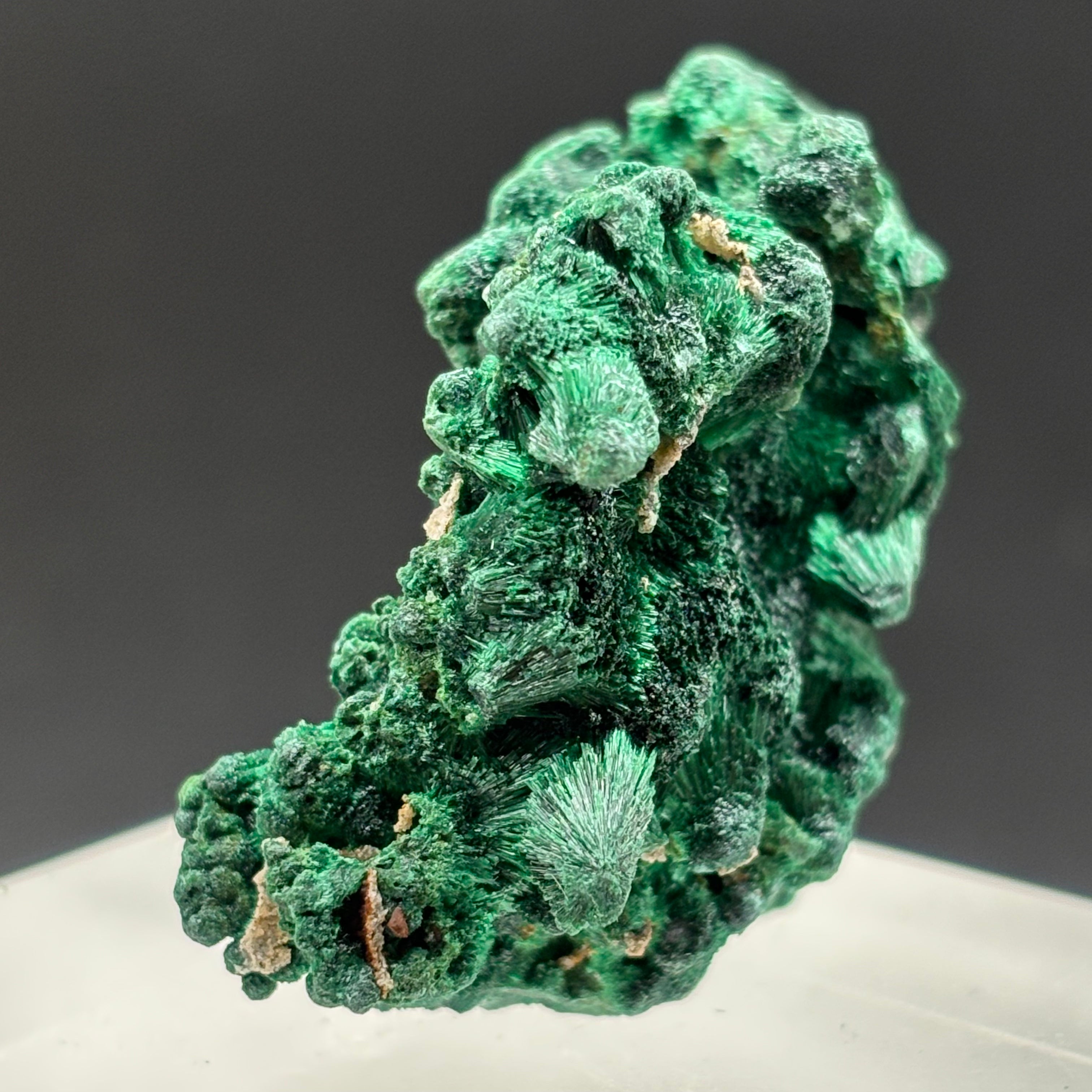 Emperor Malachite - 168