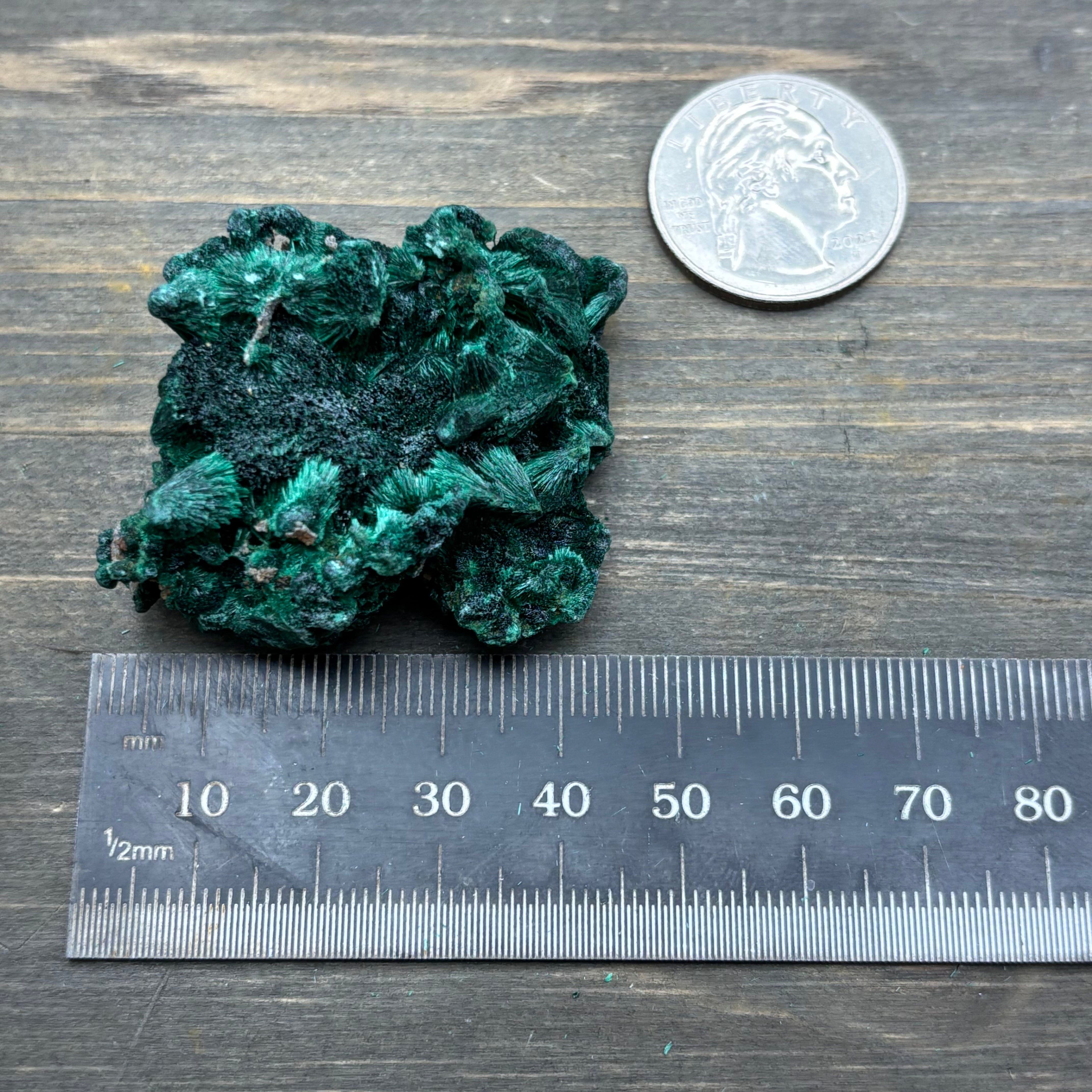 Emperor Malachite - 168