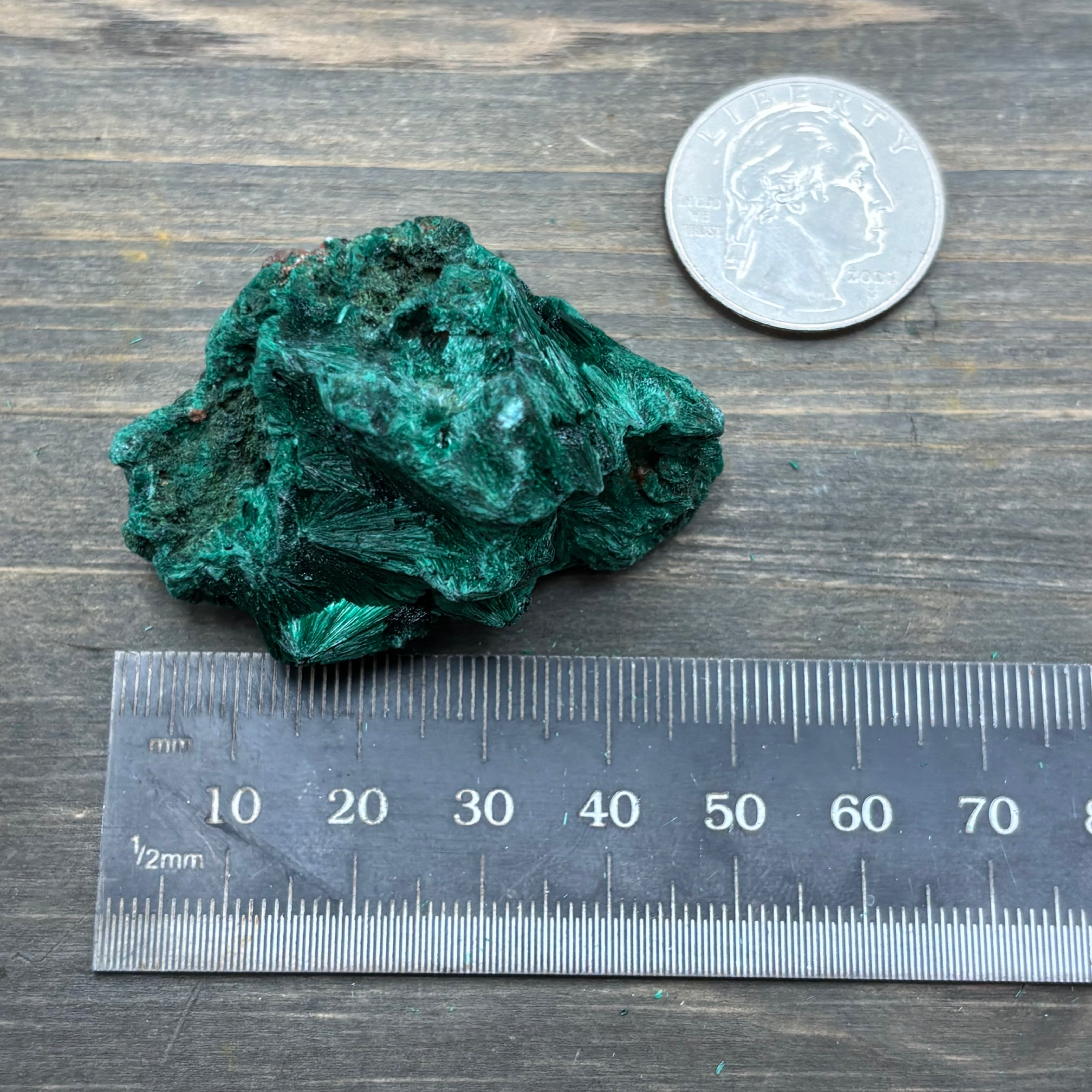 Emperor Malachite - 169