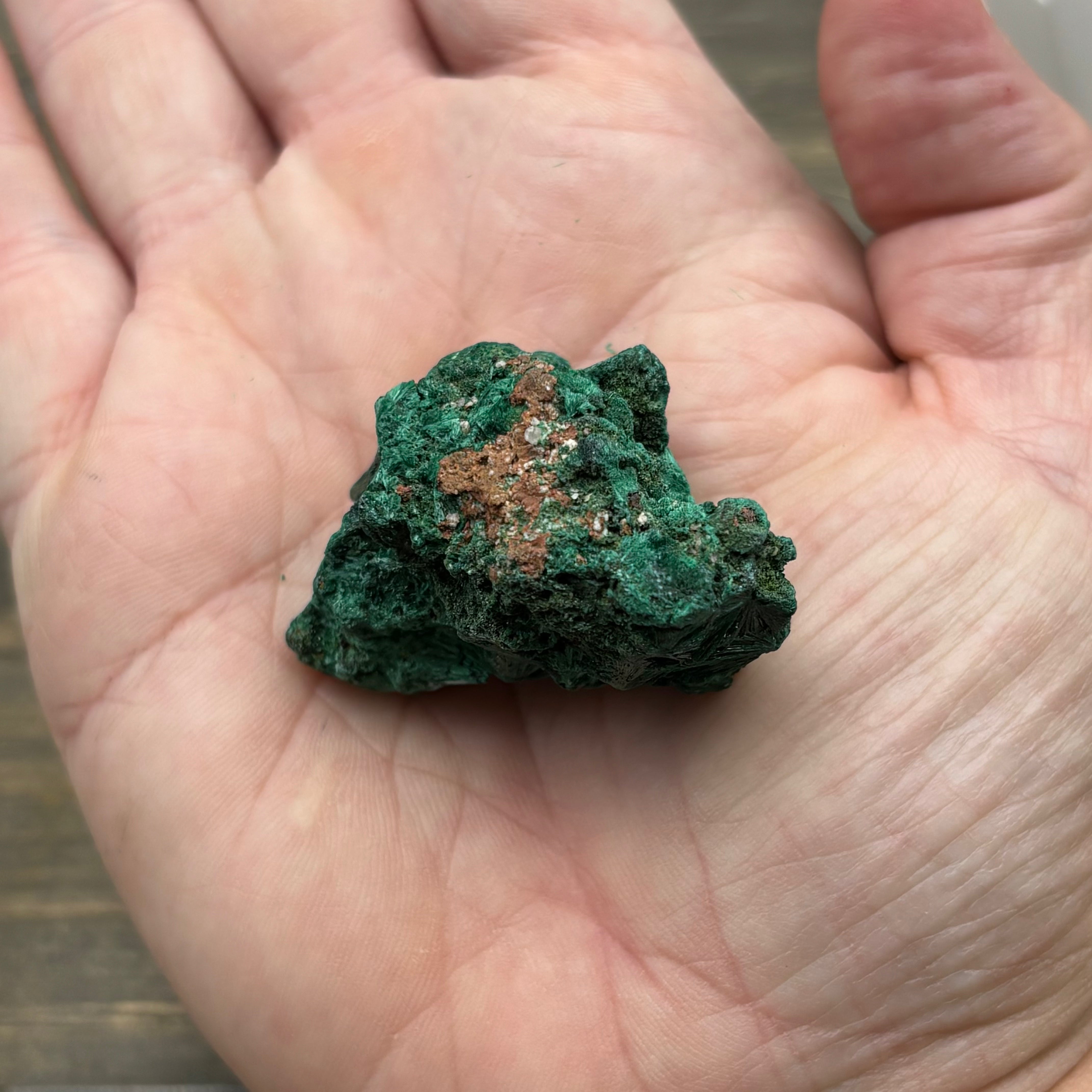 Emperor Malachite - 169