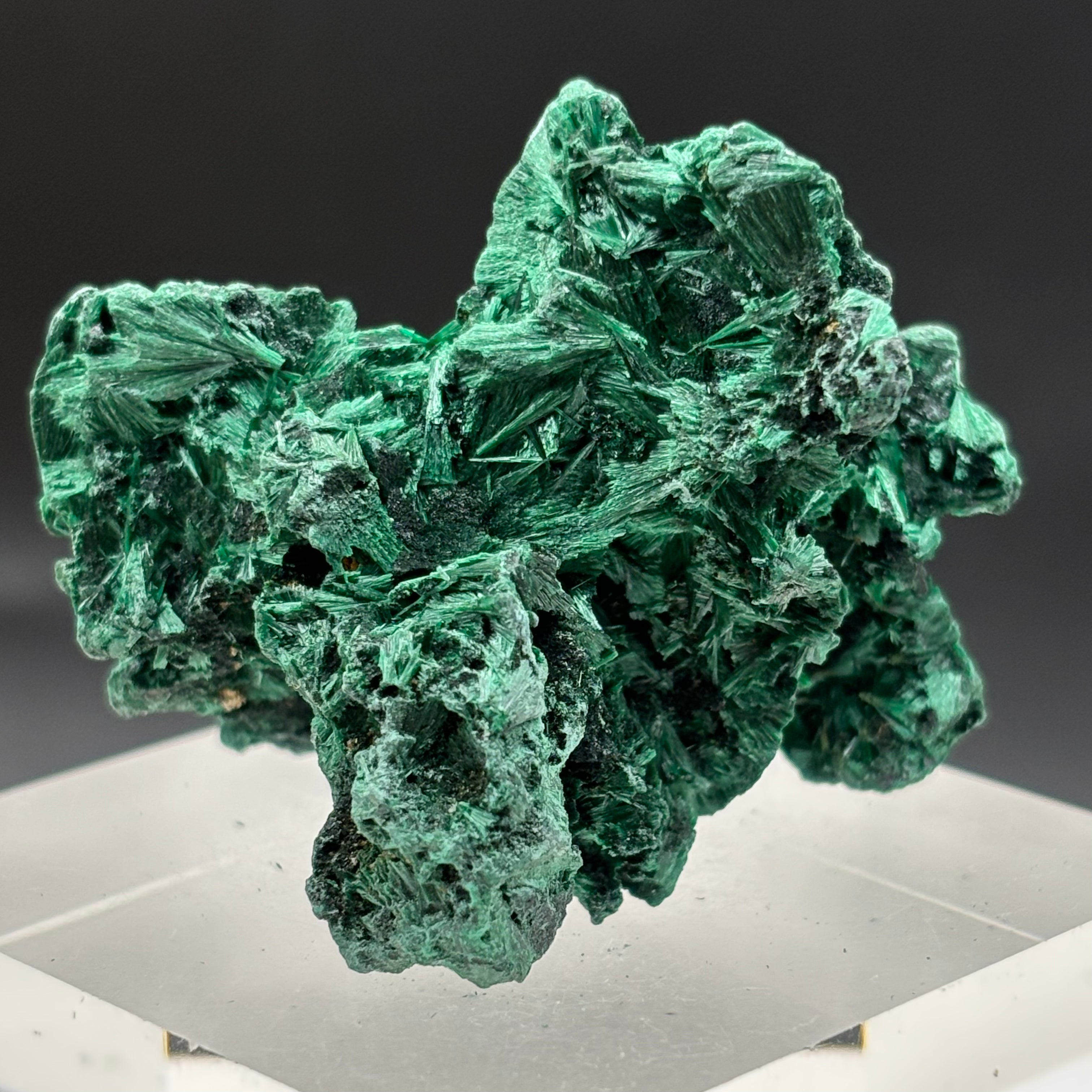 Emperor Malachite - 170