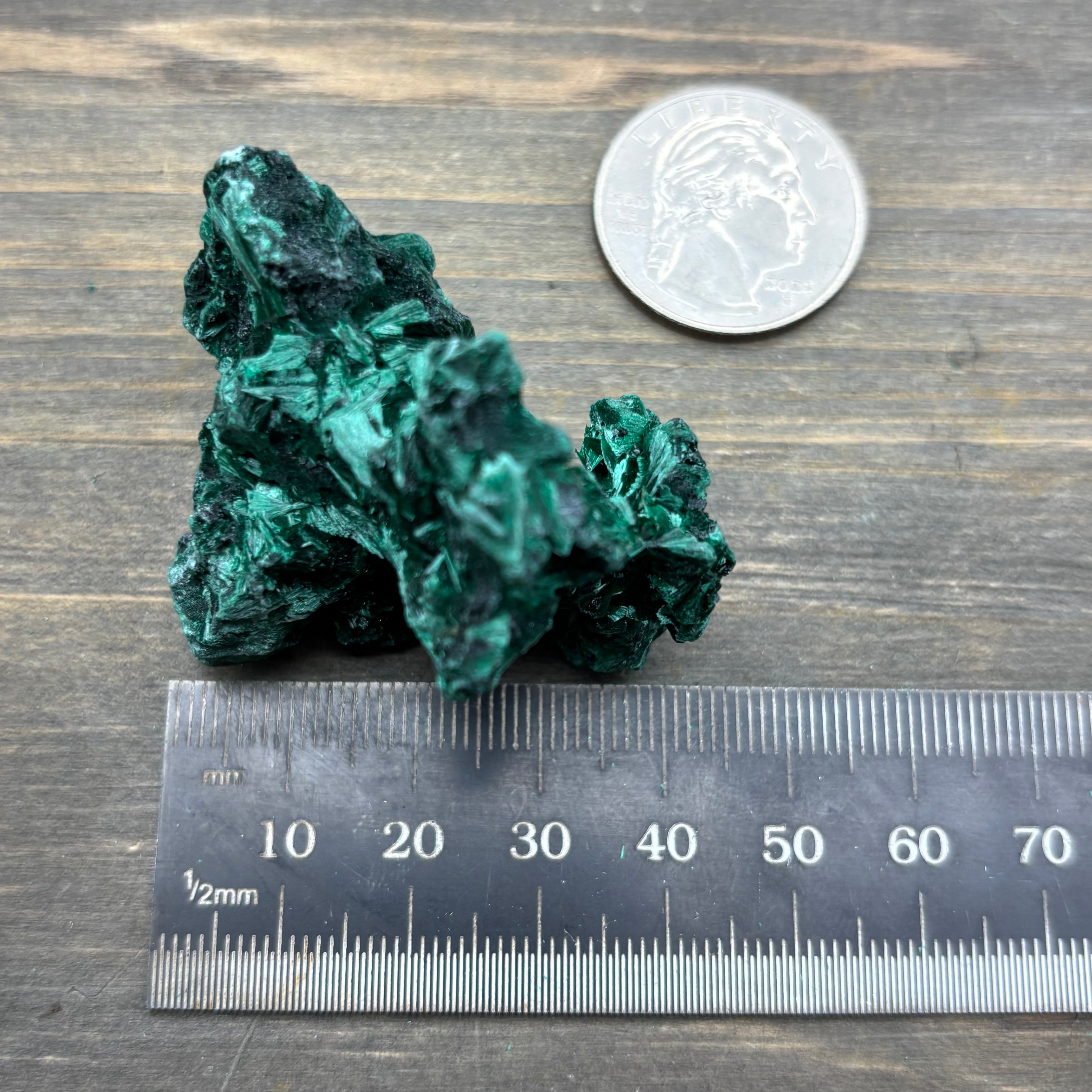 Emperor Malachite - 170