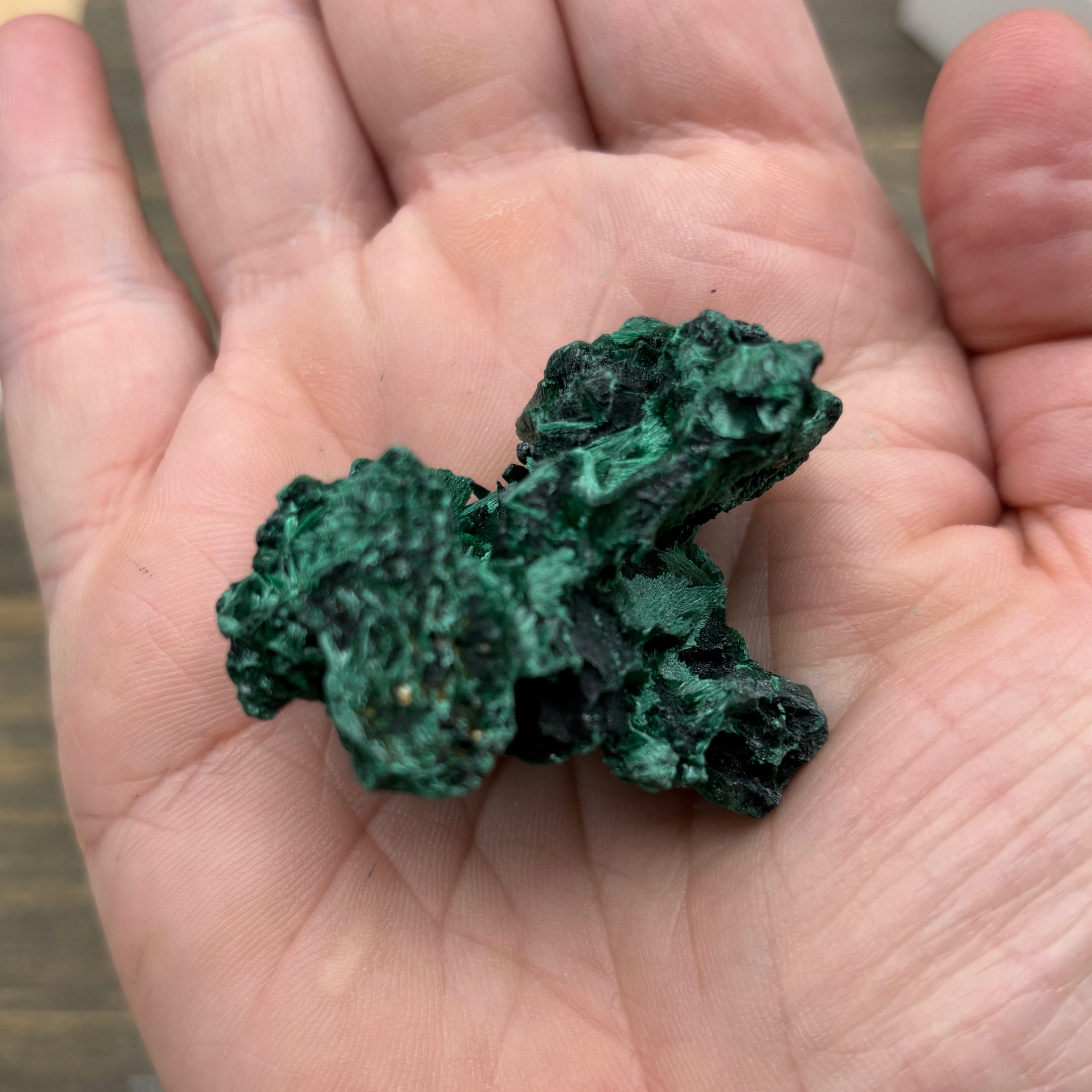 Emperor Malachite - 170