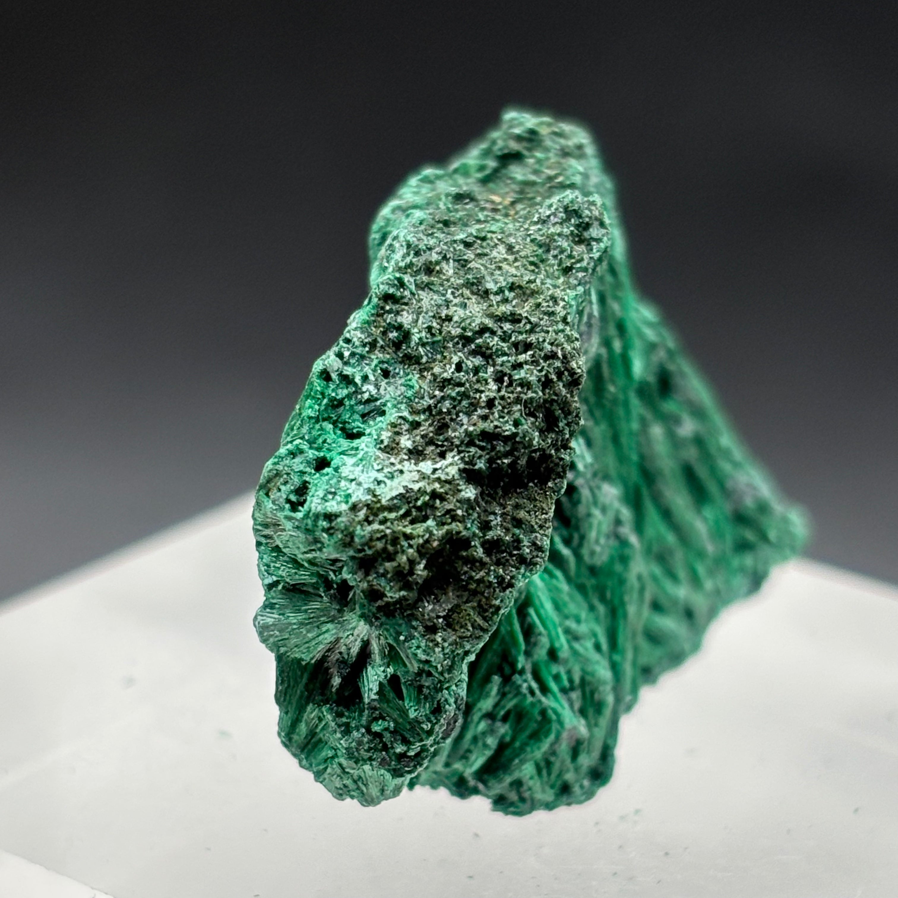 Emperor Malachite - 171