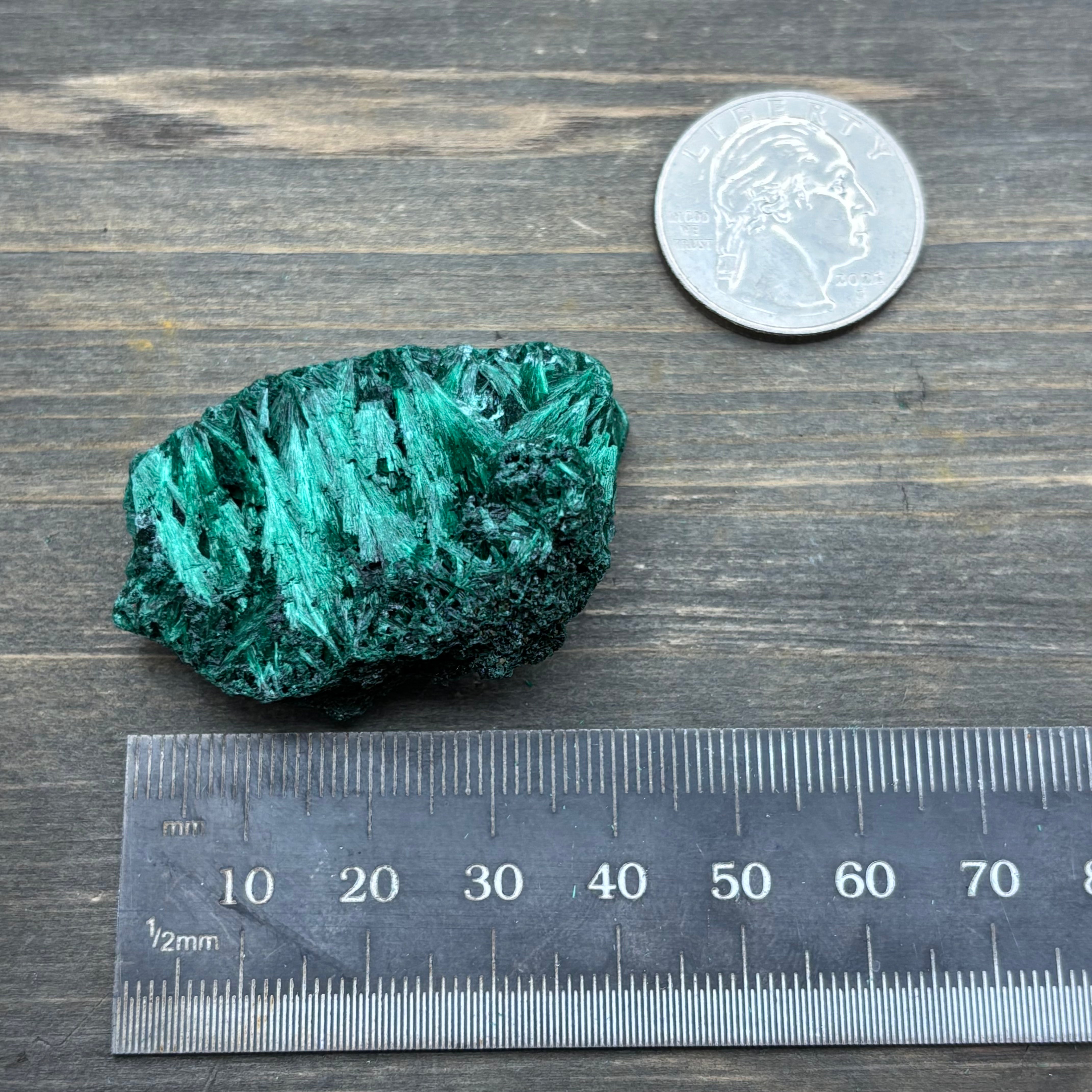 Emperor Malachite - 171