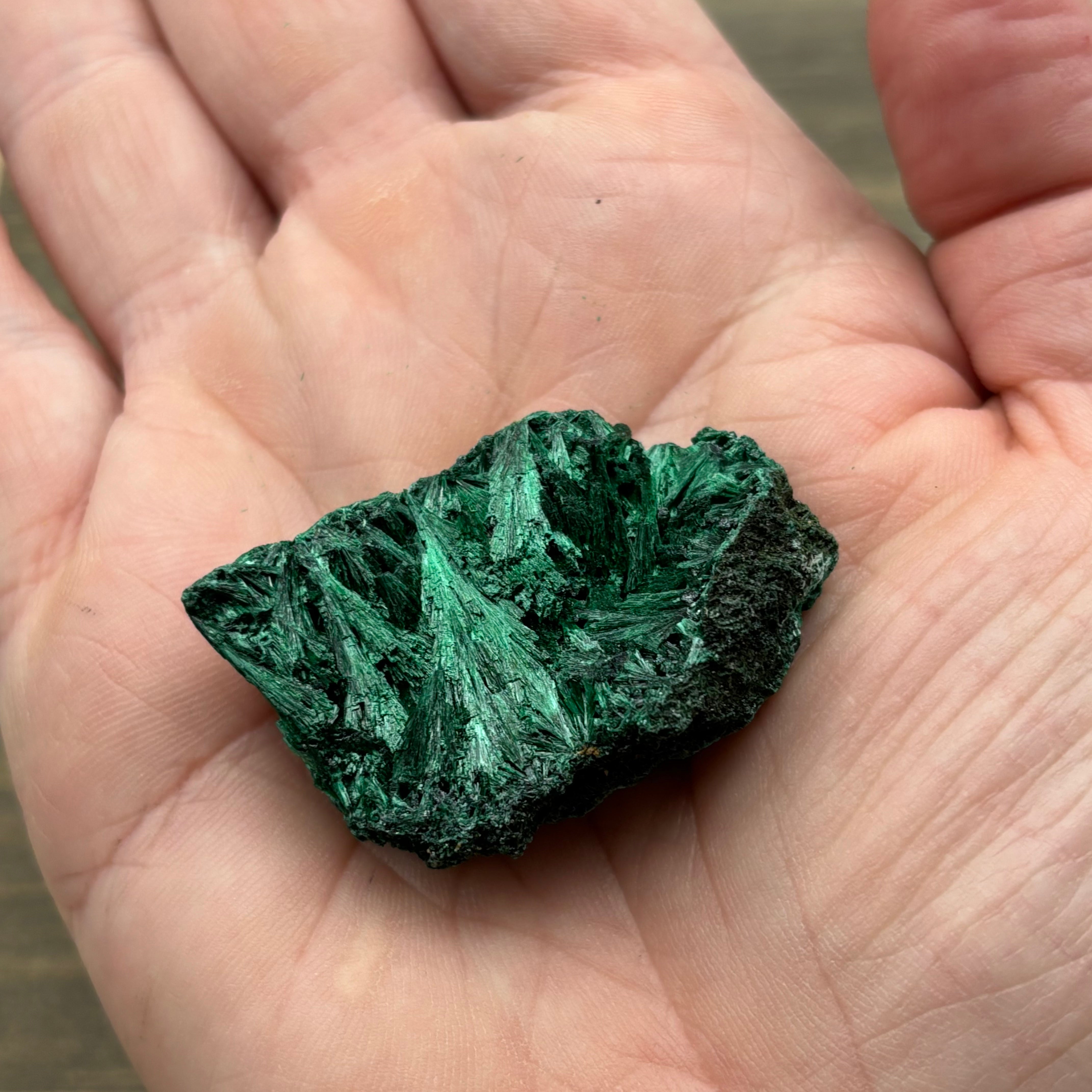 Emperor Malachite - 171