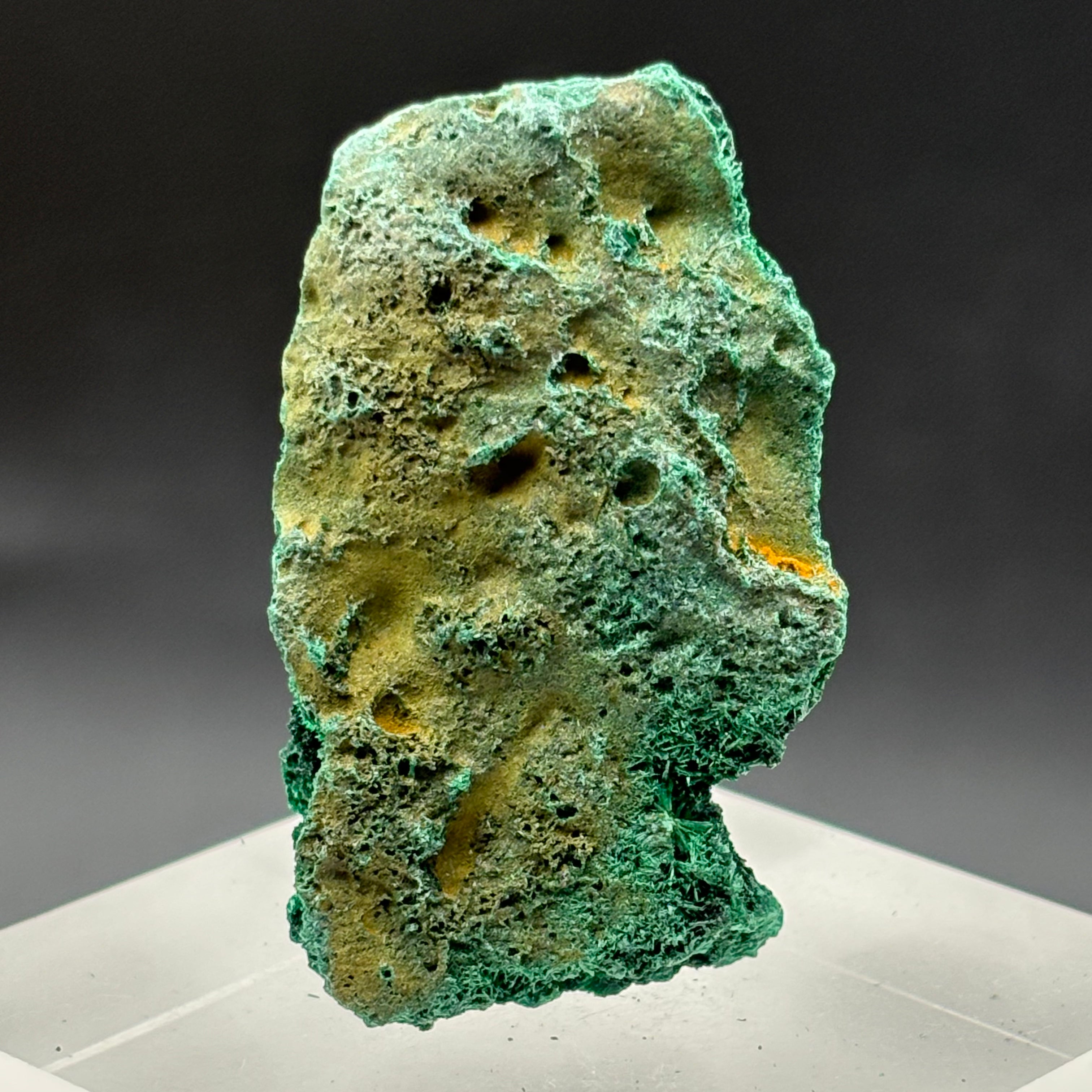 Emperor Malachite - 172