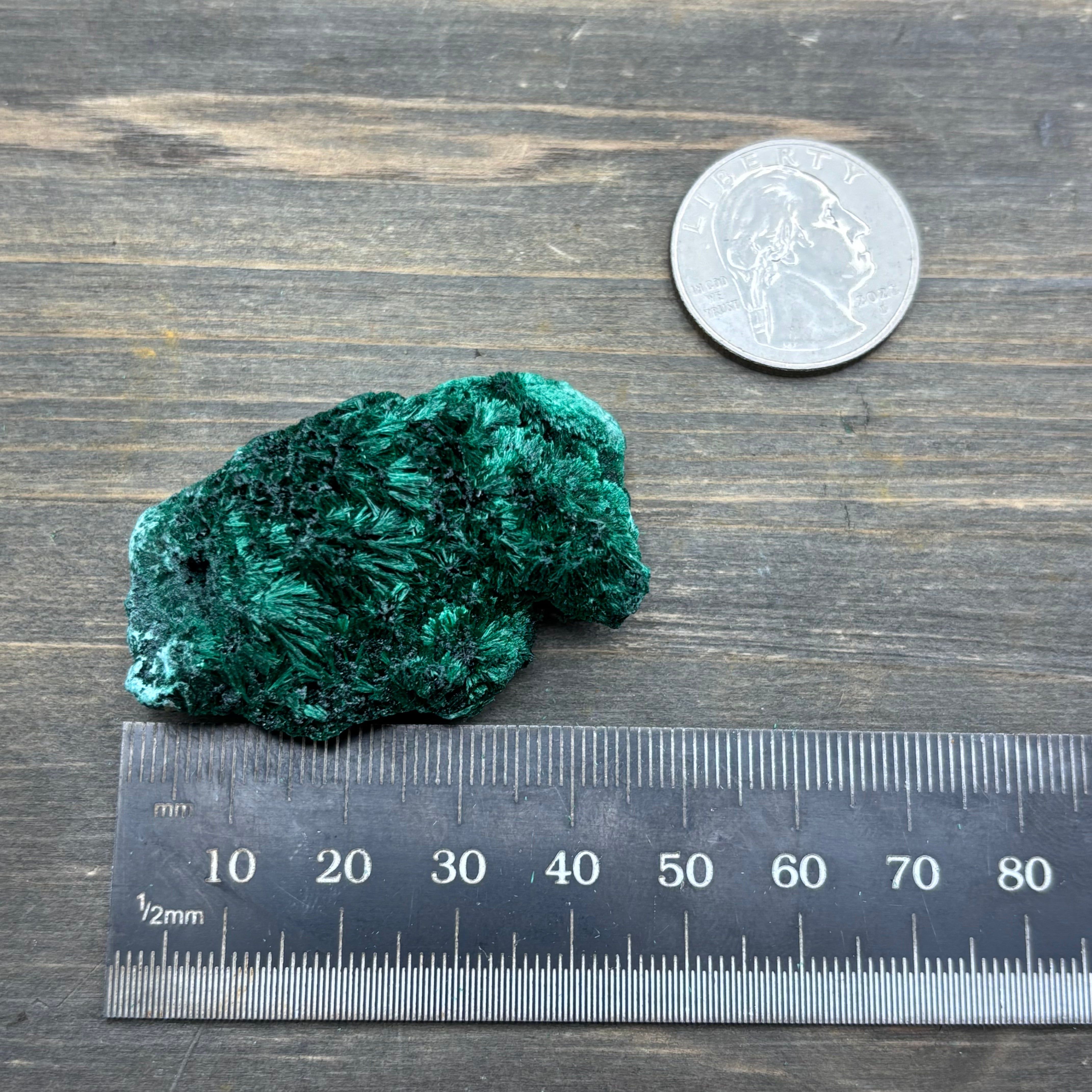 Emperor Malachite - 172