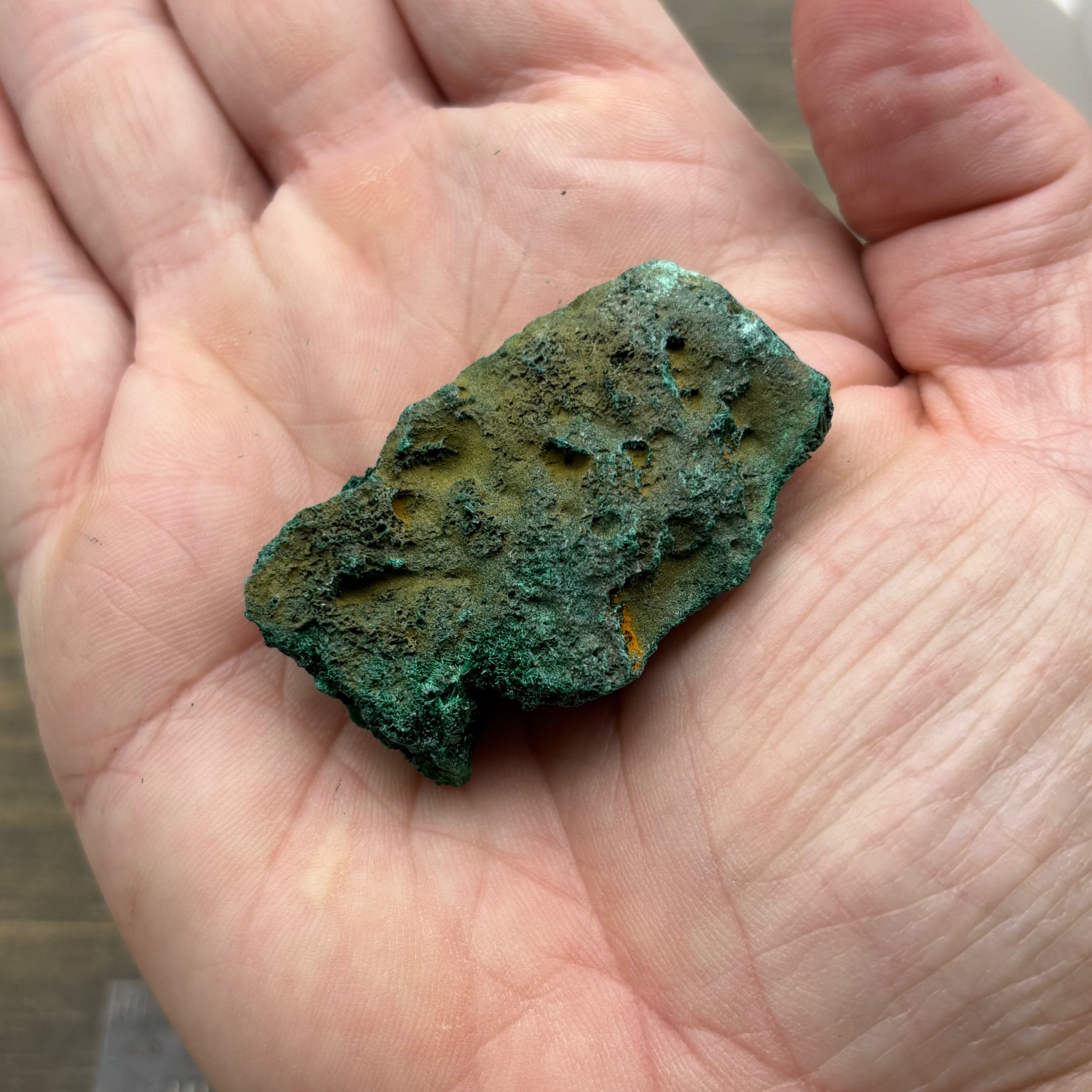 Emperor Malachite - 172