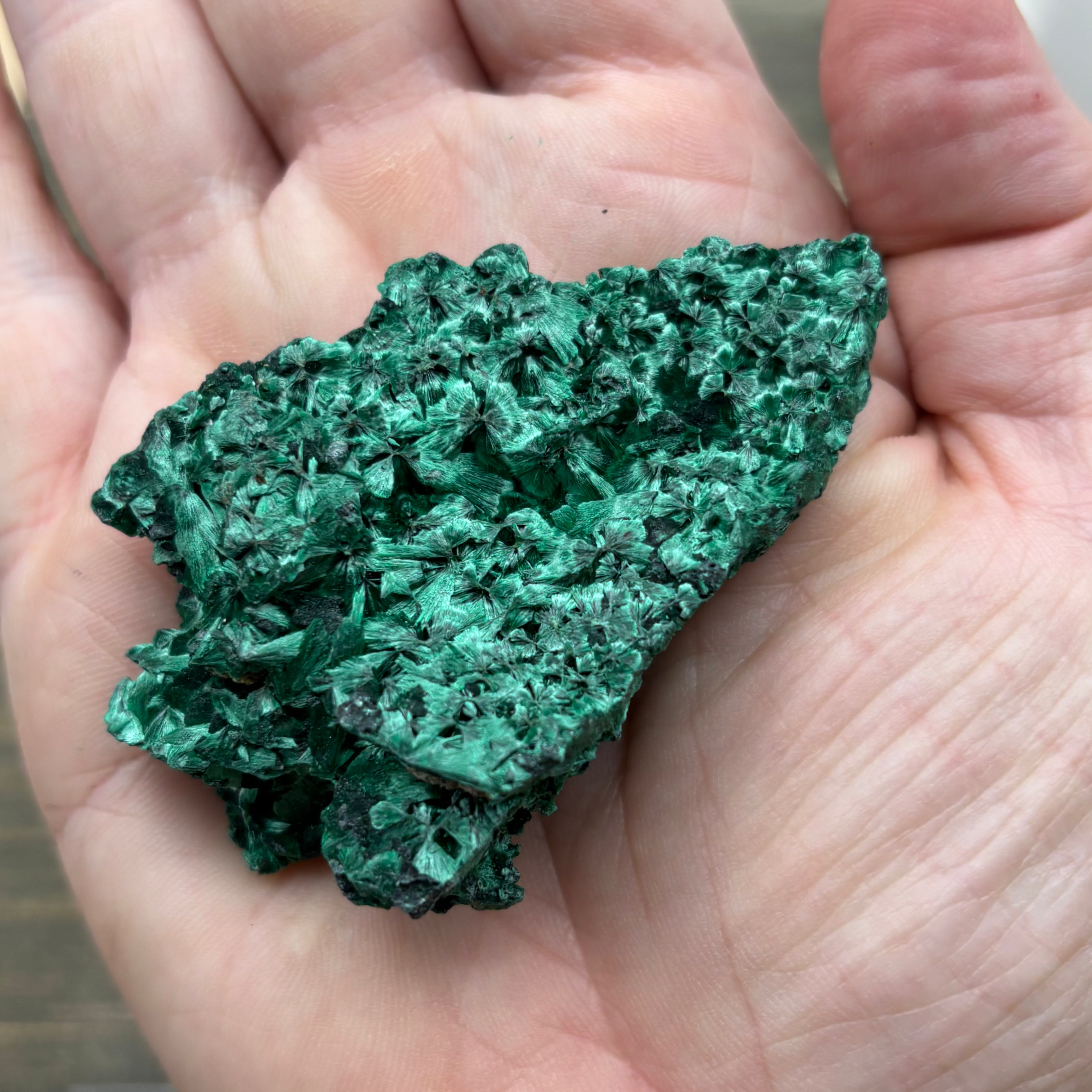 Emperor Malachite - 173