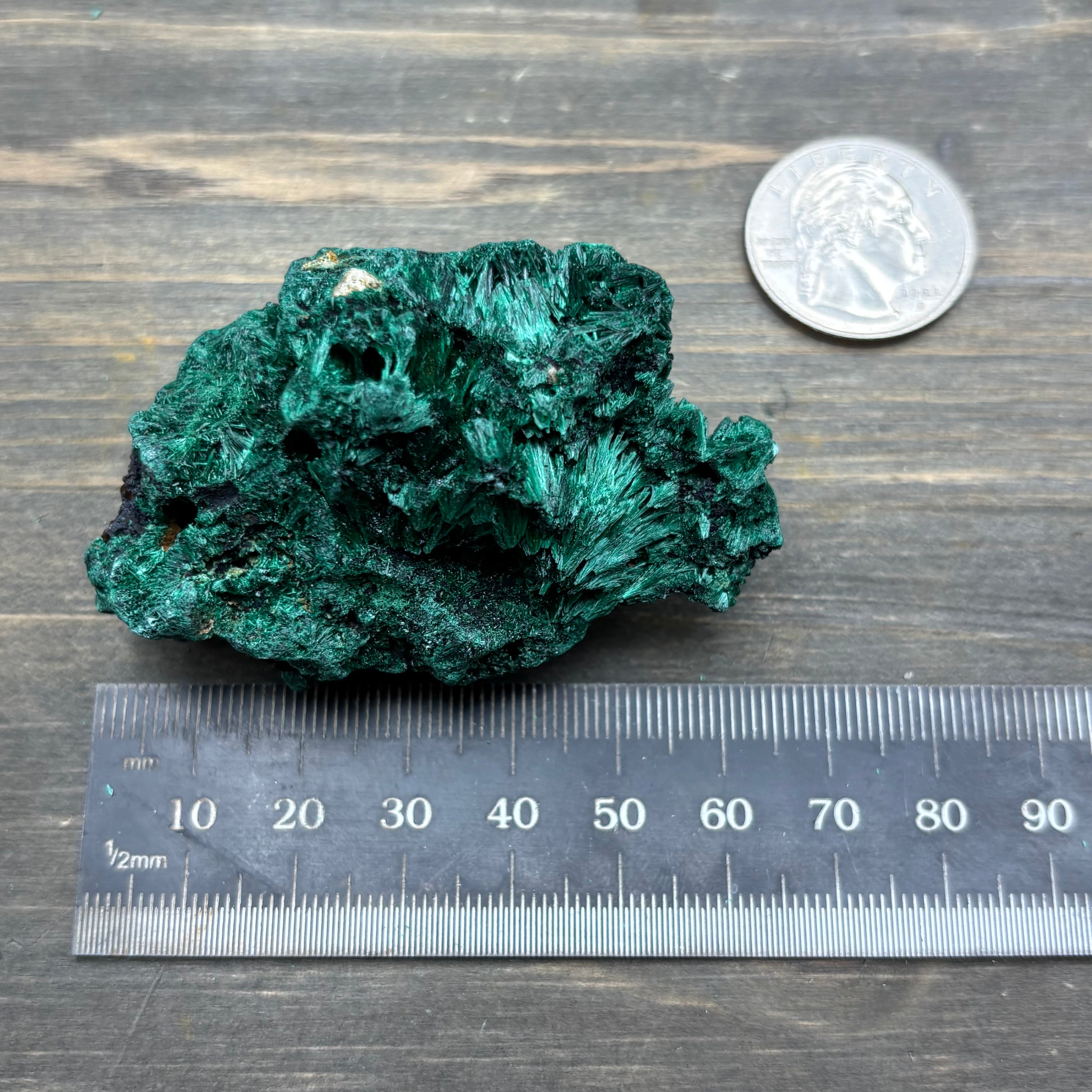 Emperor Malachite - 174
