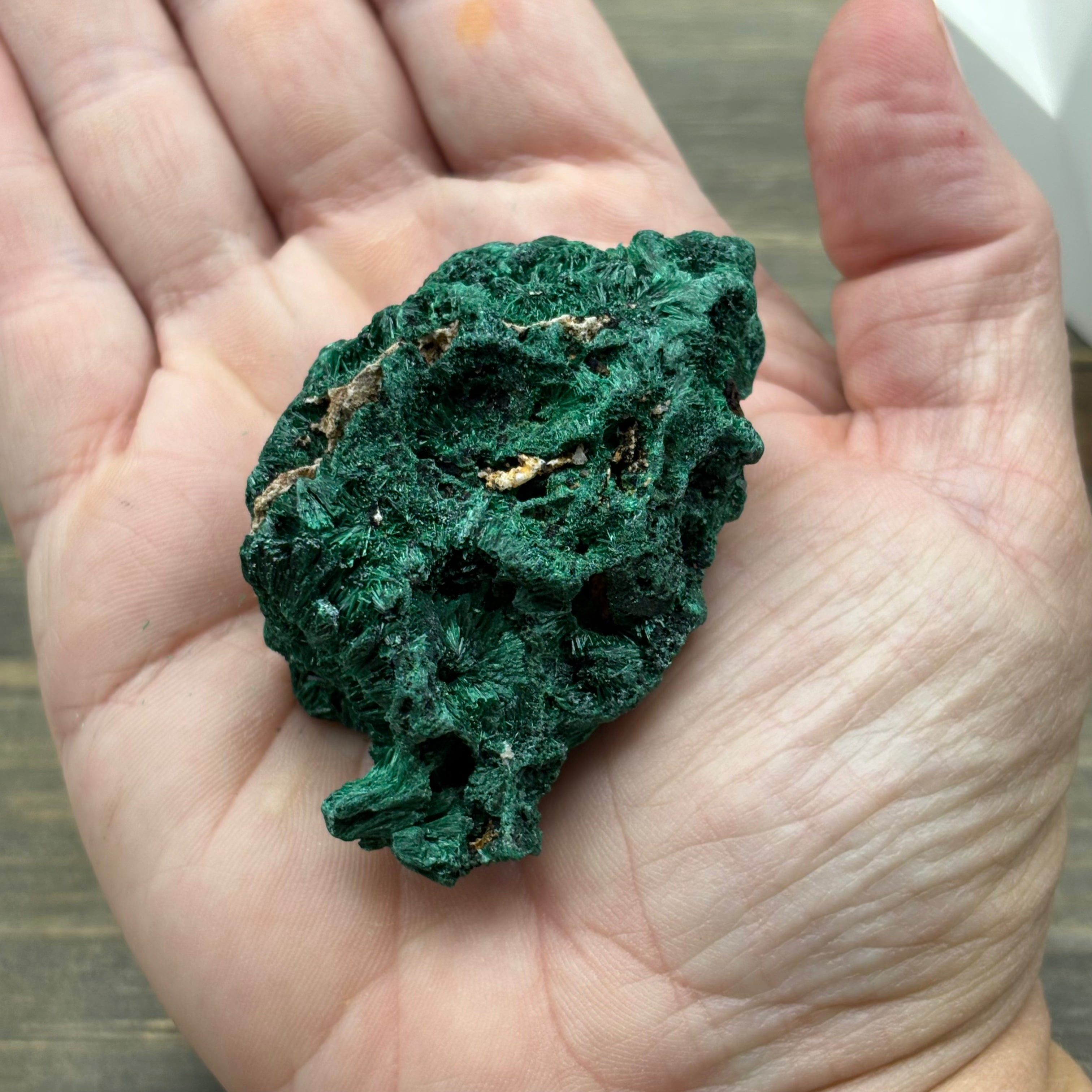 Emperor Malachite - 174