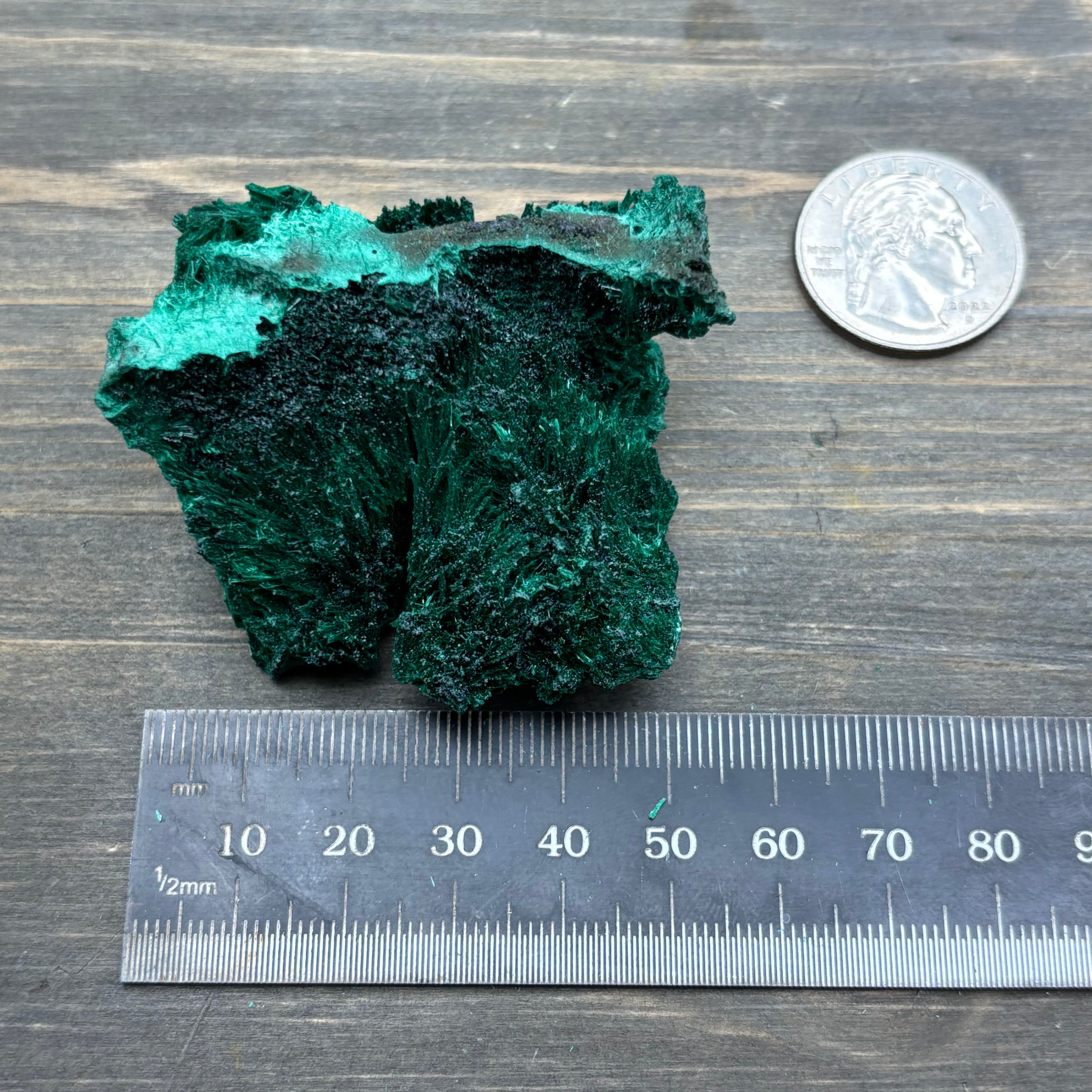 Emperor Malachite - 175