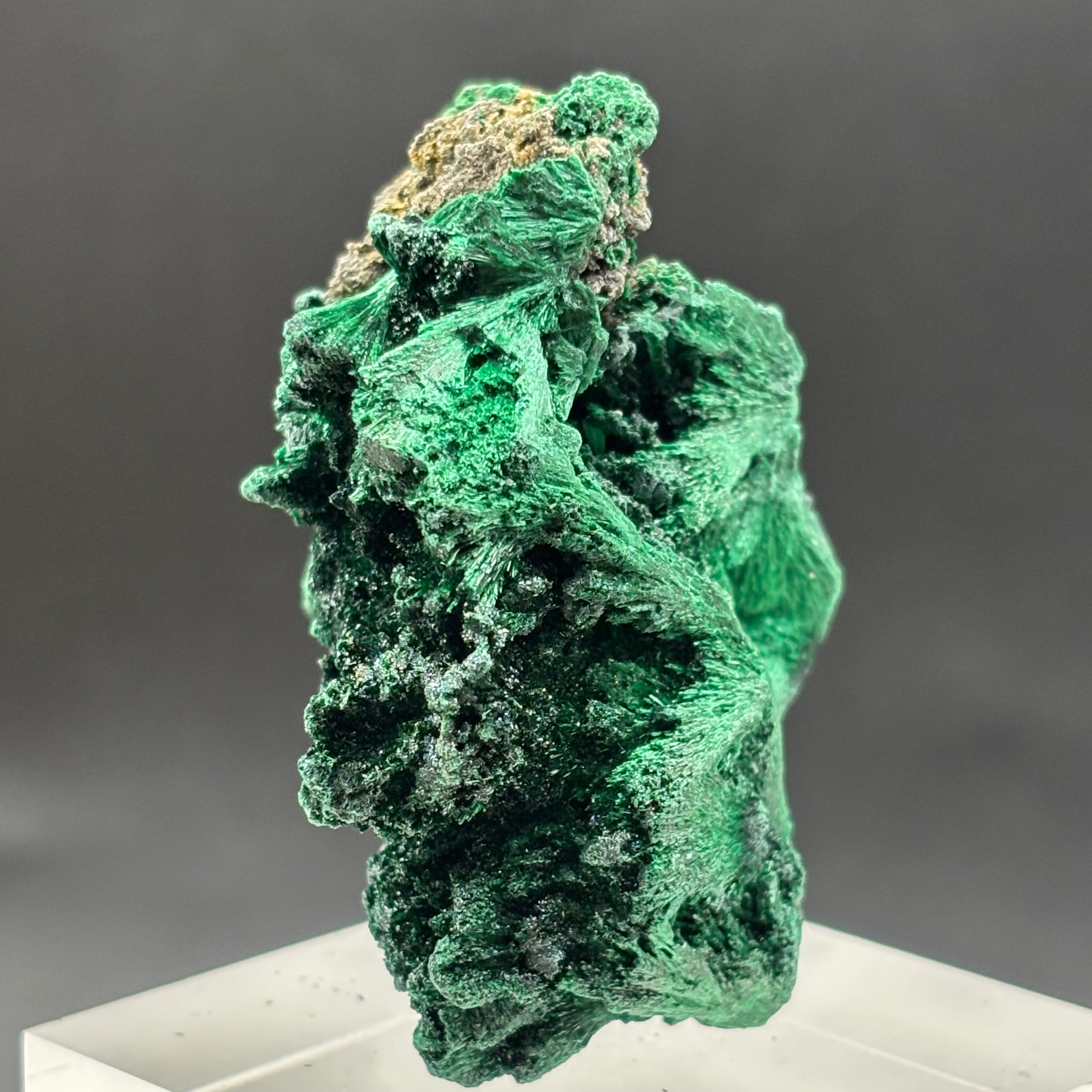Emperor Malachite - 176