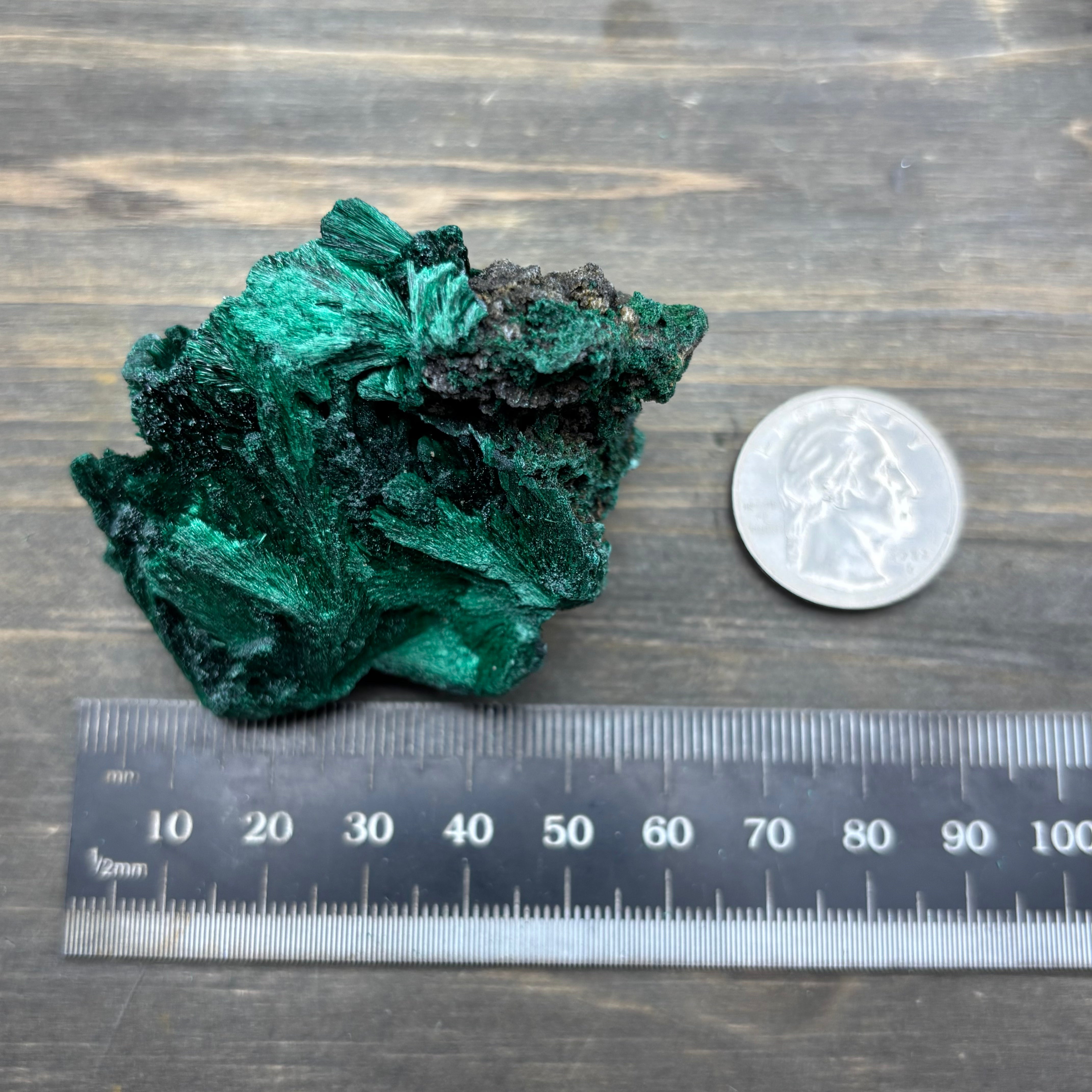 Emperor Malachite - 176
