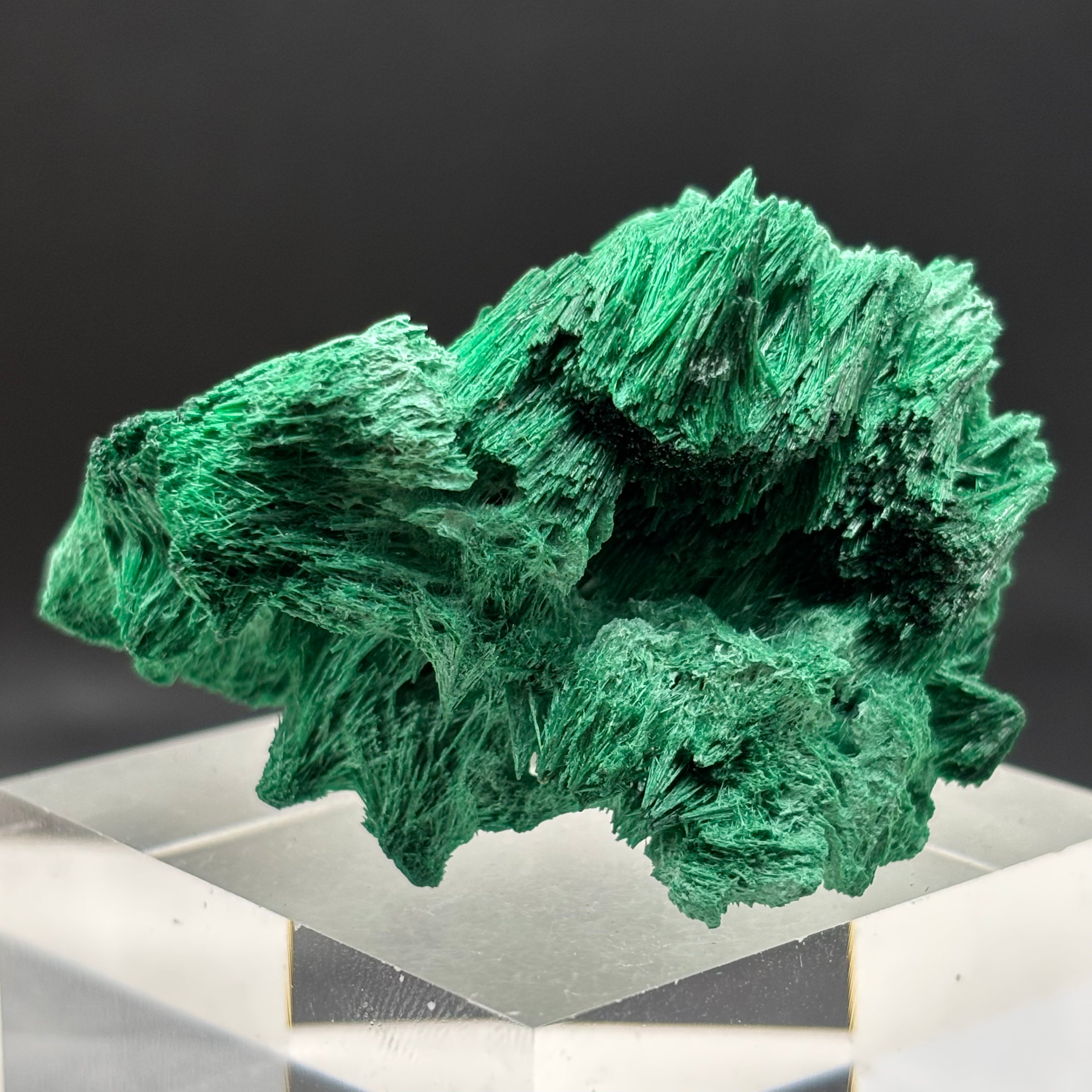 Emperor Malachite - 177