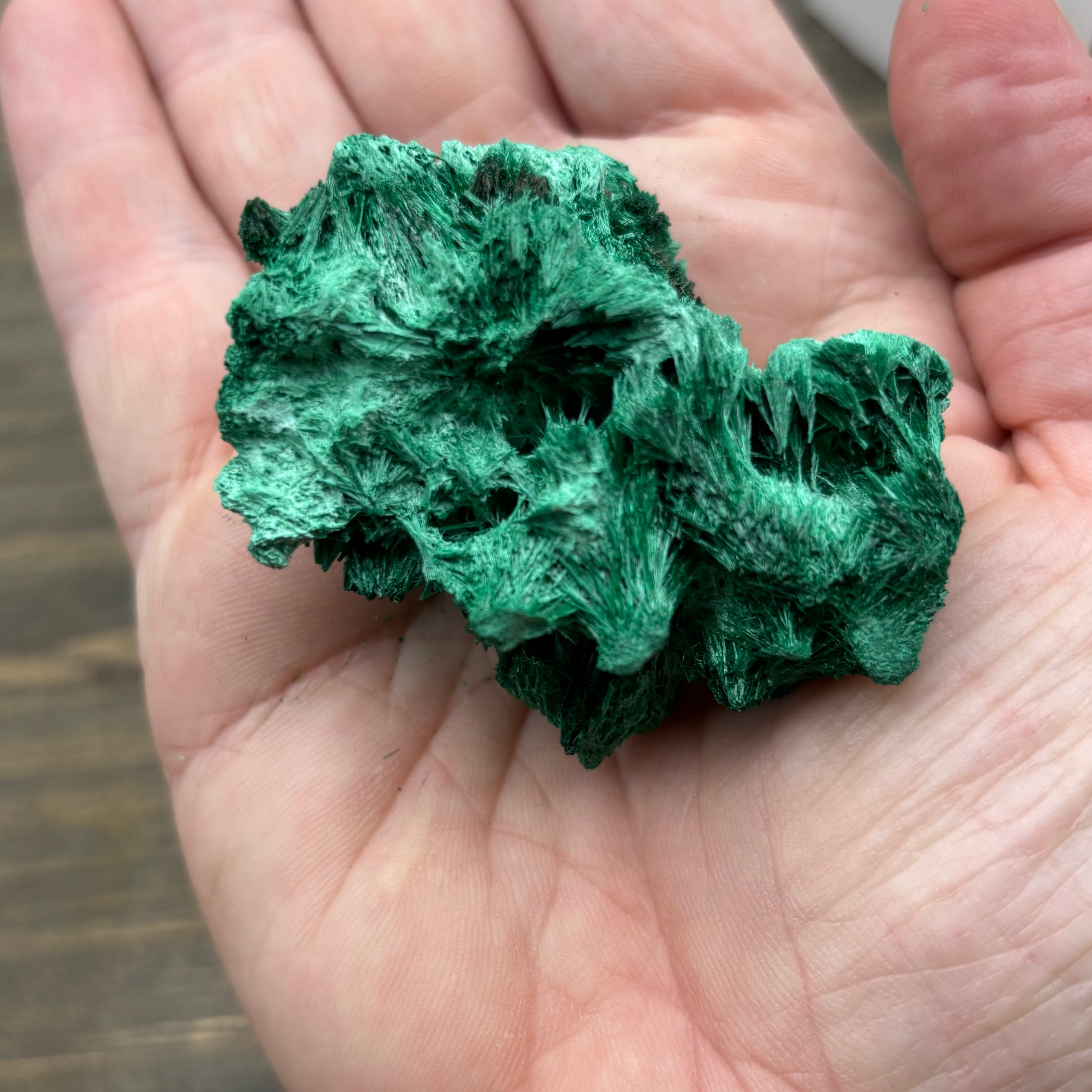 Emperor Malachite - 177